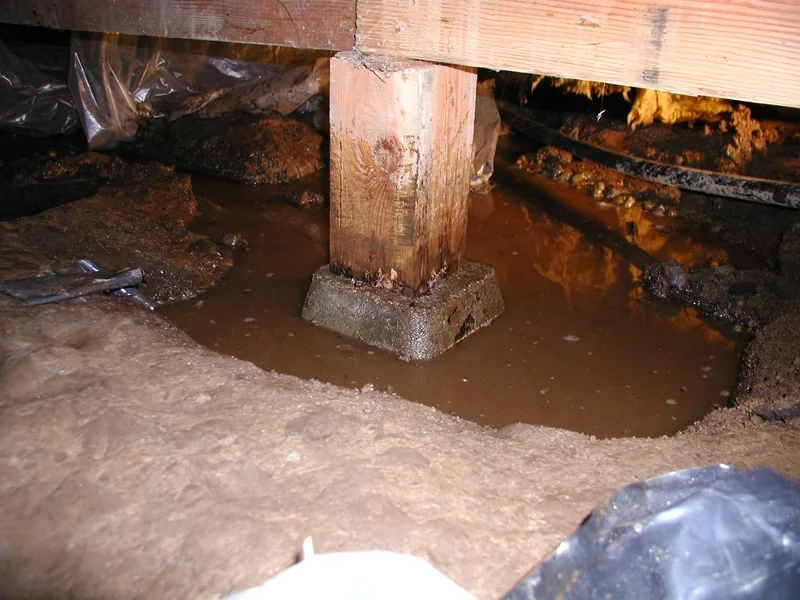 flooded_basement_woodROT.jpg