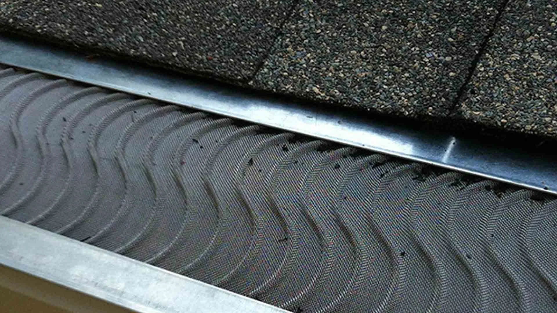 Gutter Guard