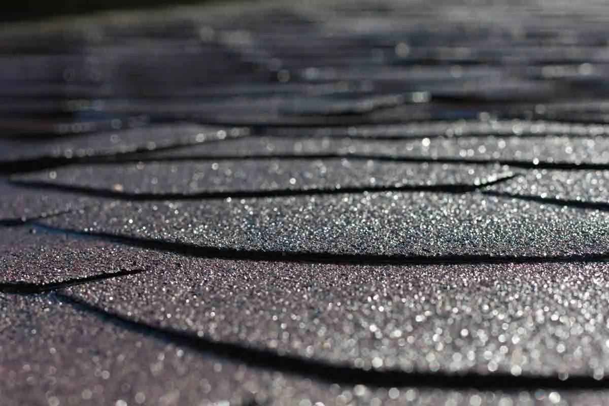 Roof Shingles