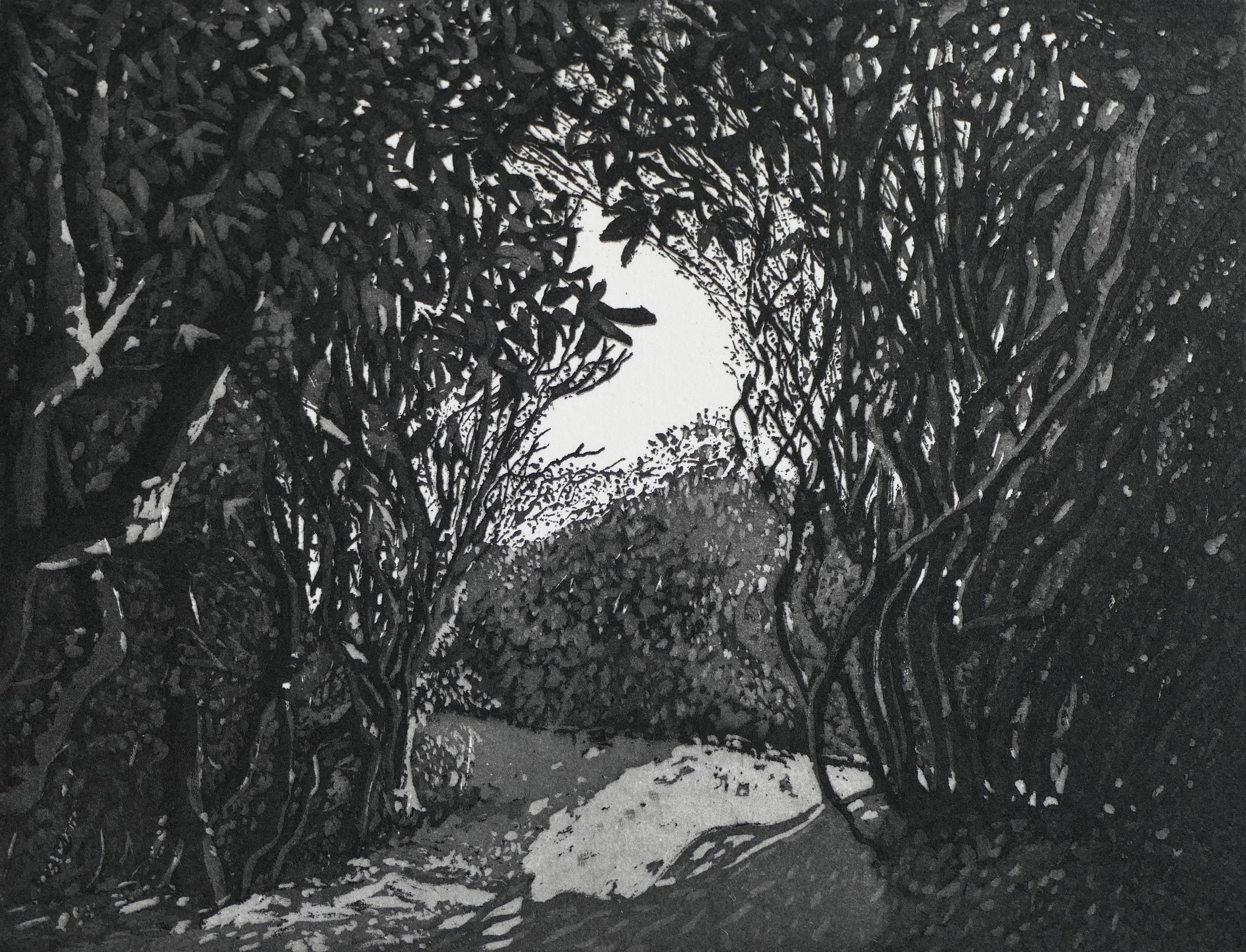 Hidden Path - Lucy Ward highres rgb.jpg