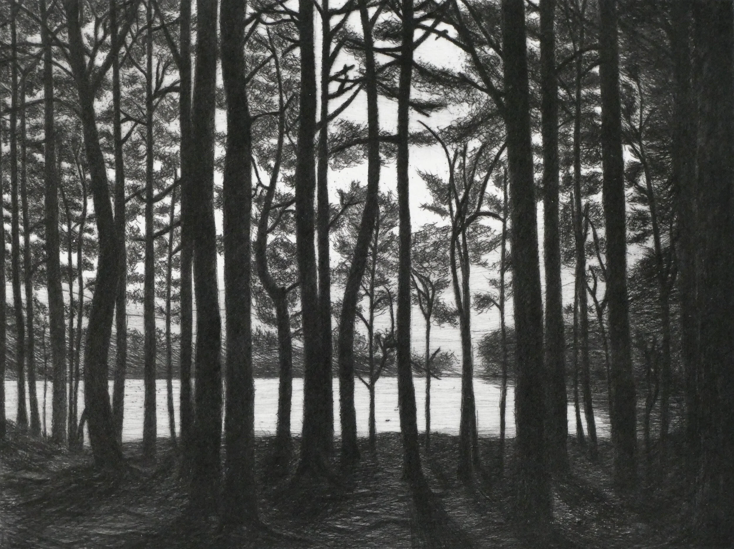 Drypoint Print size 15cm x 20cm Edition of 10 © Lucy Ward