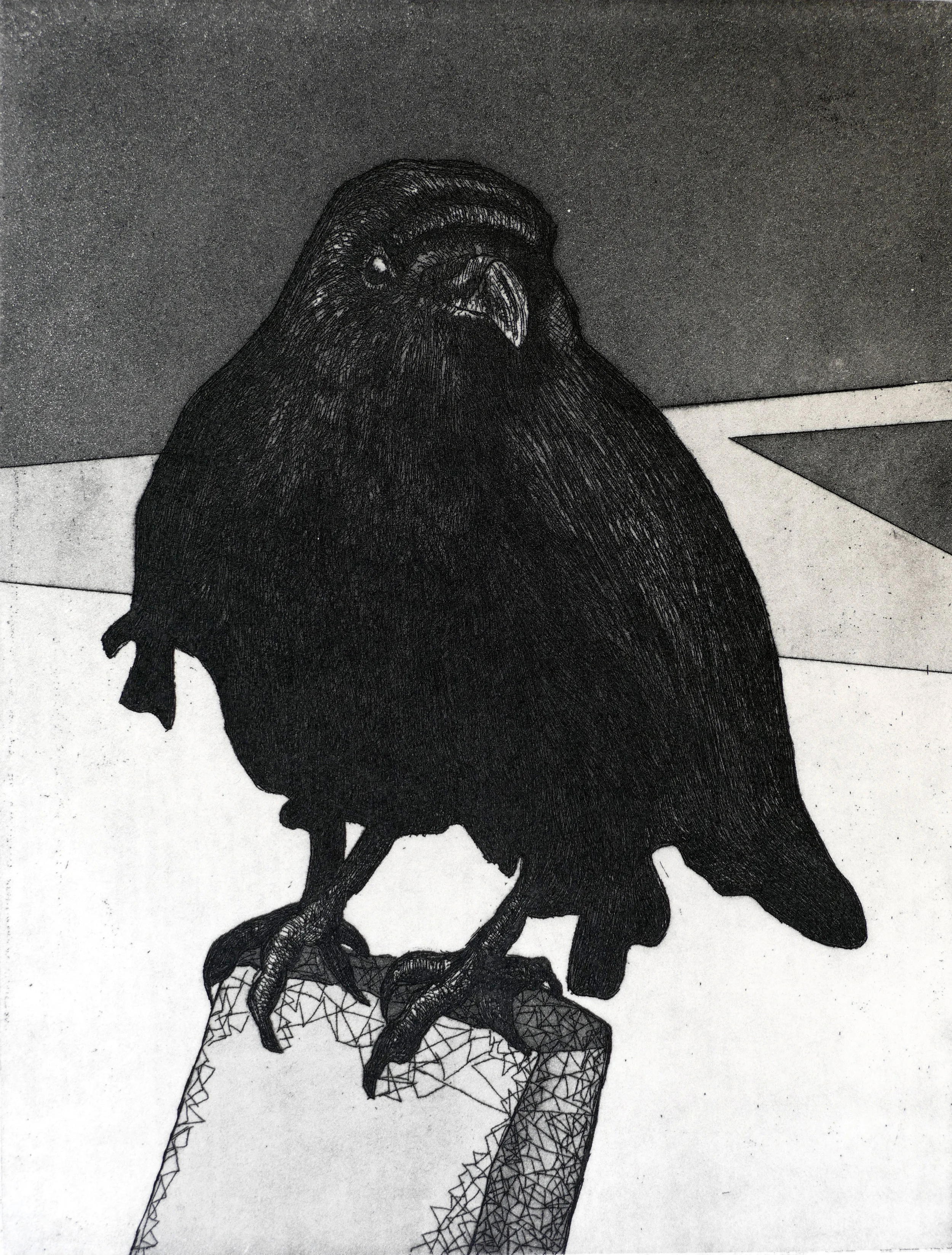 Crow: the making of a print
