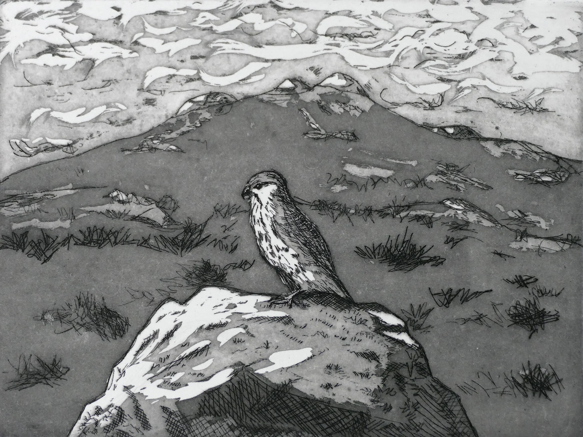 Kestrel Watching - Lucy Ward.jpg