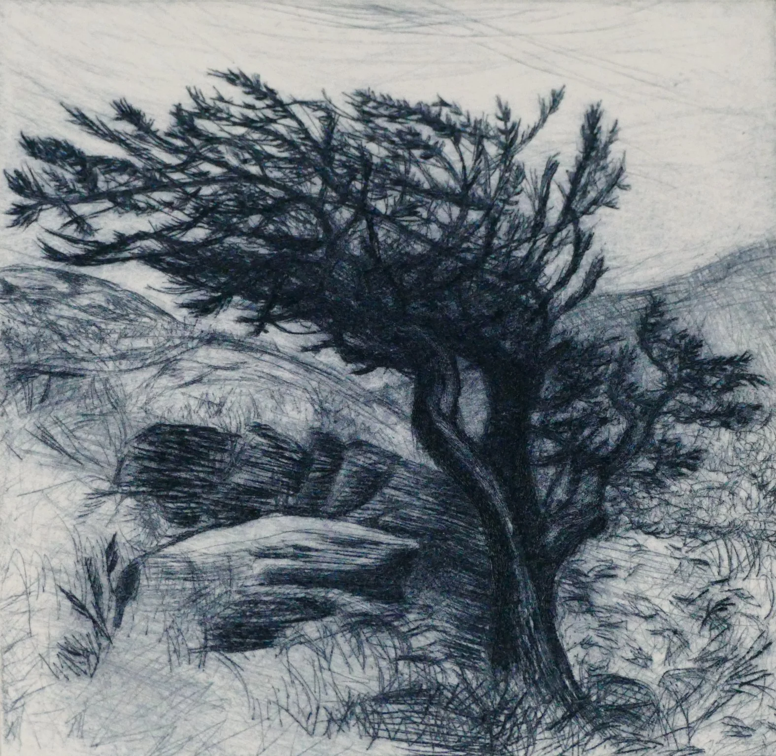 Resilience