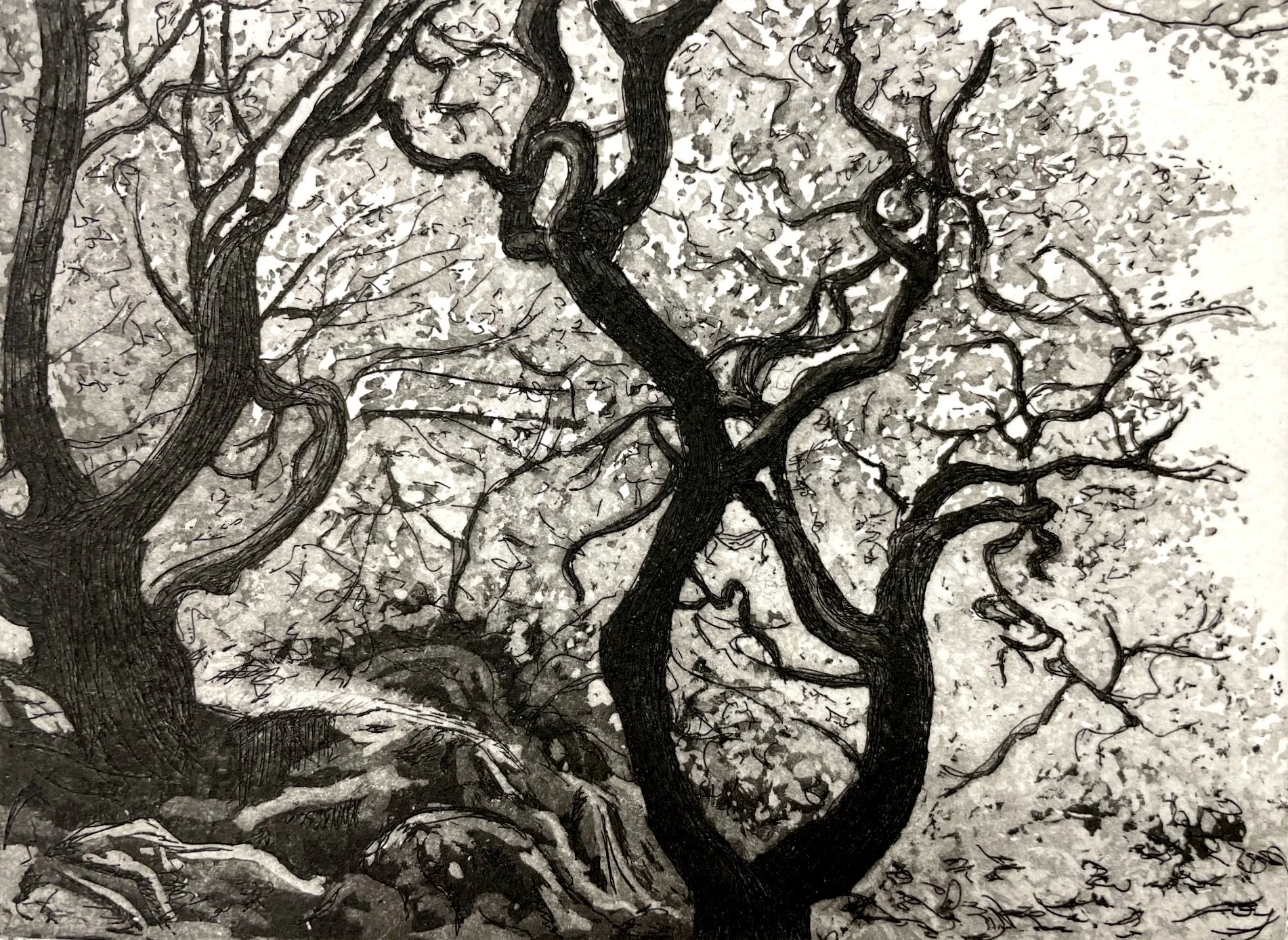   A Soft Embrace   Etching and aquatint  Image size: 12cm x 16.1cm  Paper size: 25cm x 28cm  Edition of 25  © Lucy Ward 