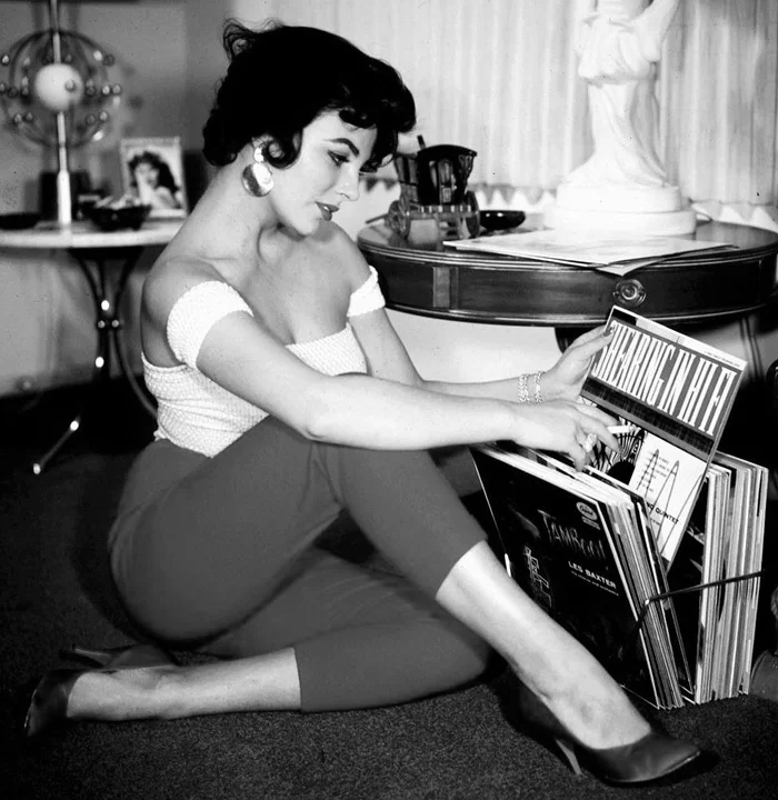 liztaylorvinyls.jpg
