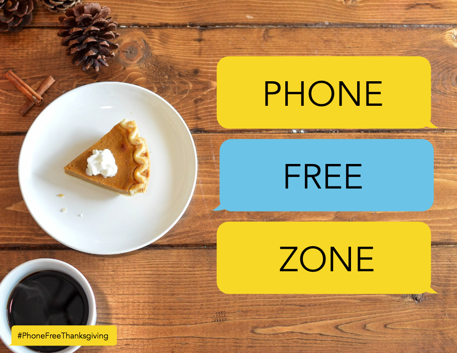 PHONE FREE ZONE SIGN