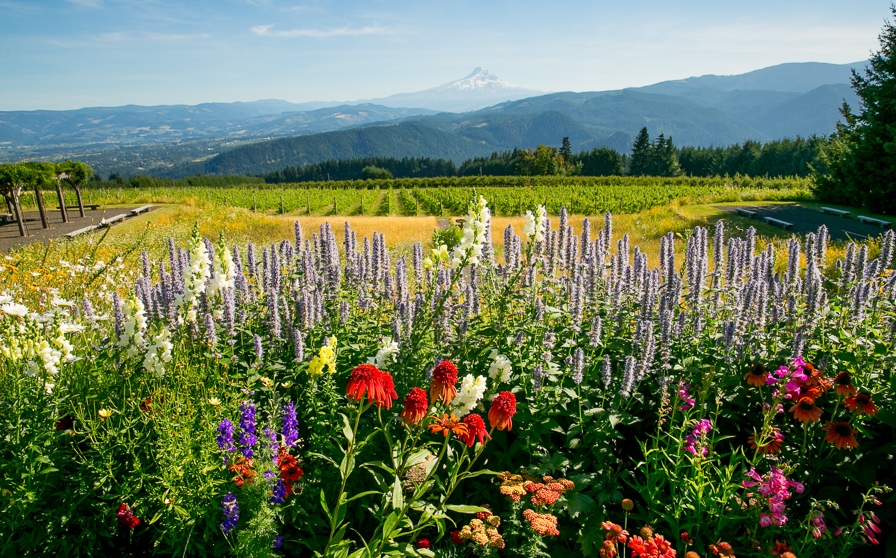 Hood River Wedding Venue