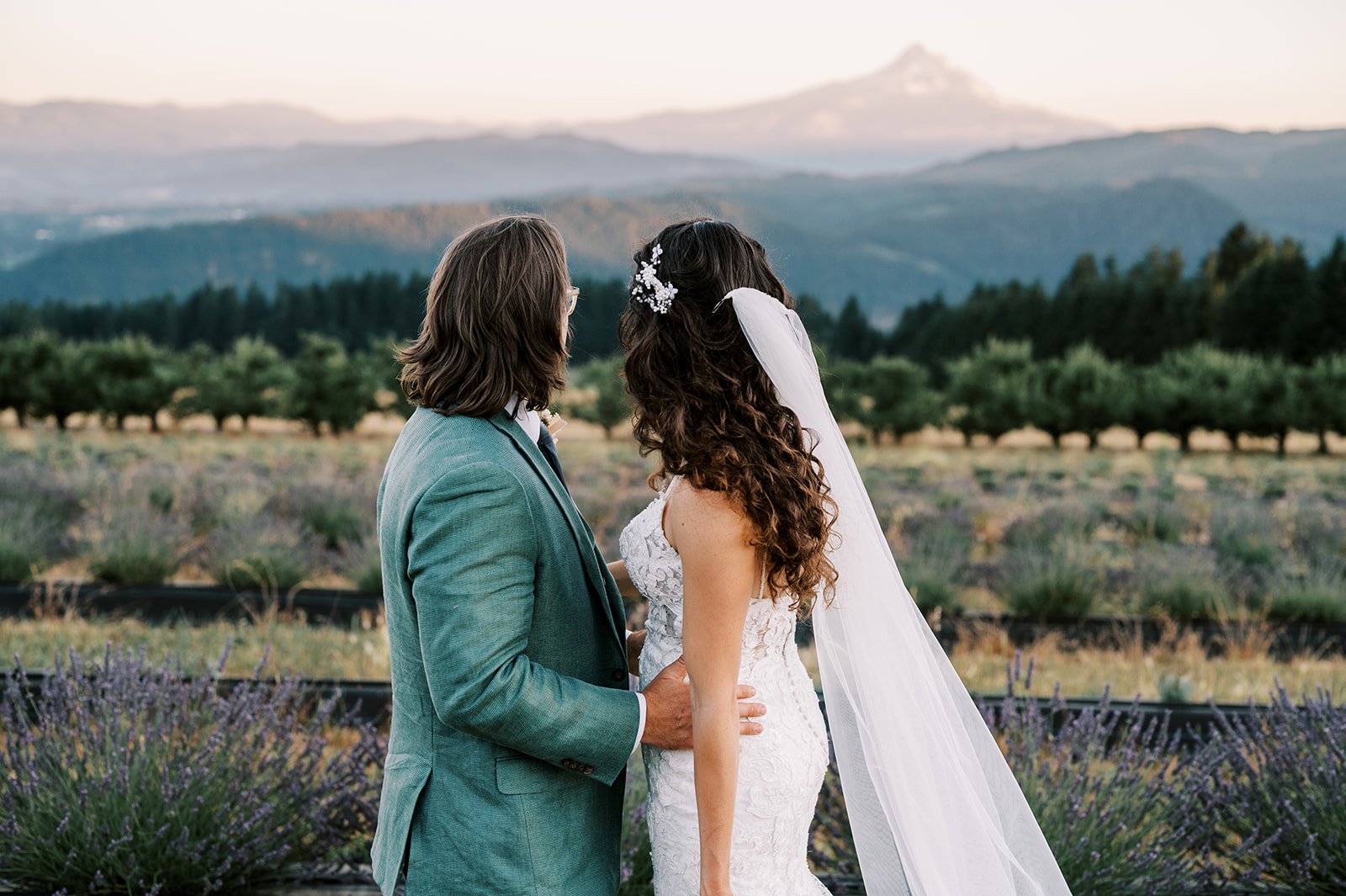 Hood River Lavender Columbia Gorge Lavender 