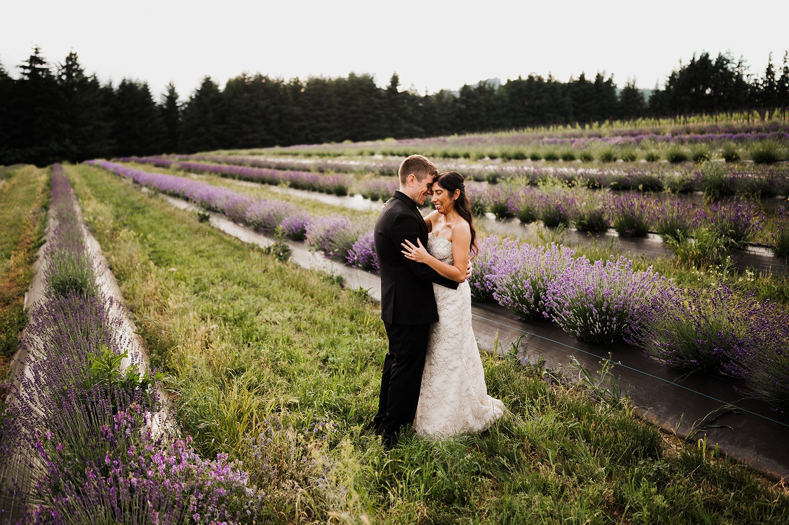 Hood River Lavender Columbia Gorge Lavender 