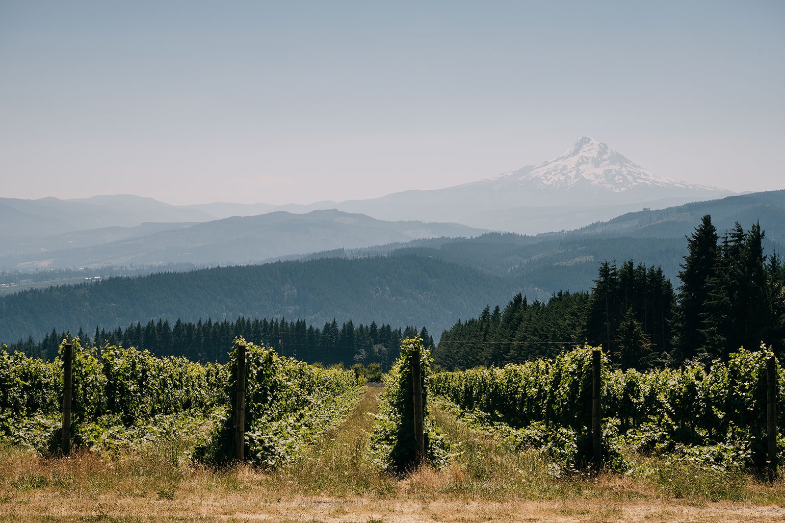 Hood River  Columbia Gorge Winery