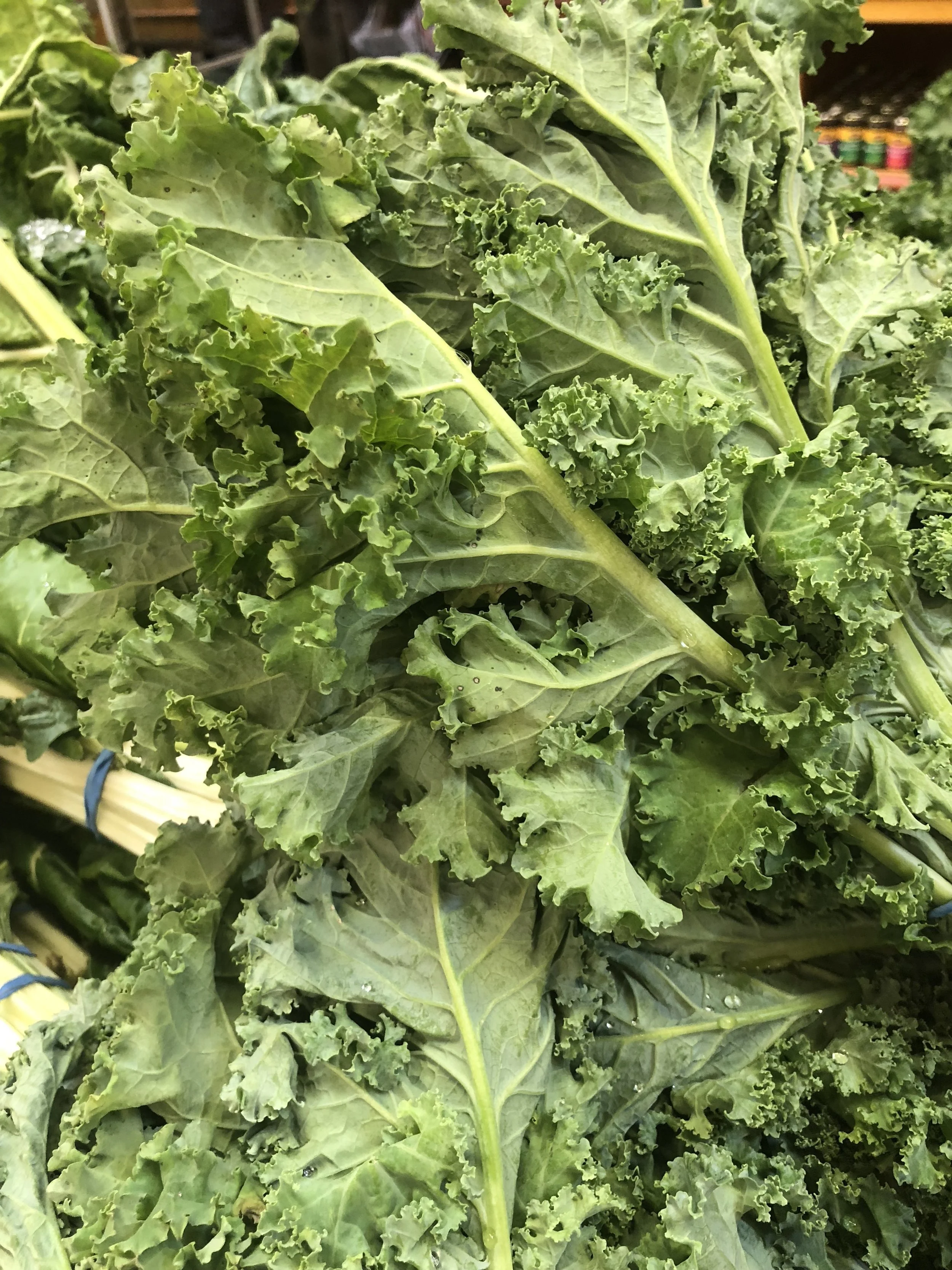 Organic locally-grown Kale 