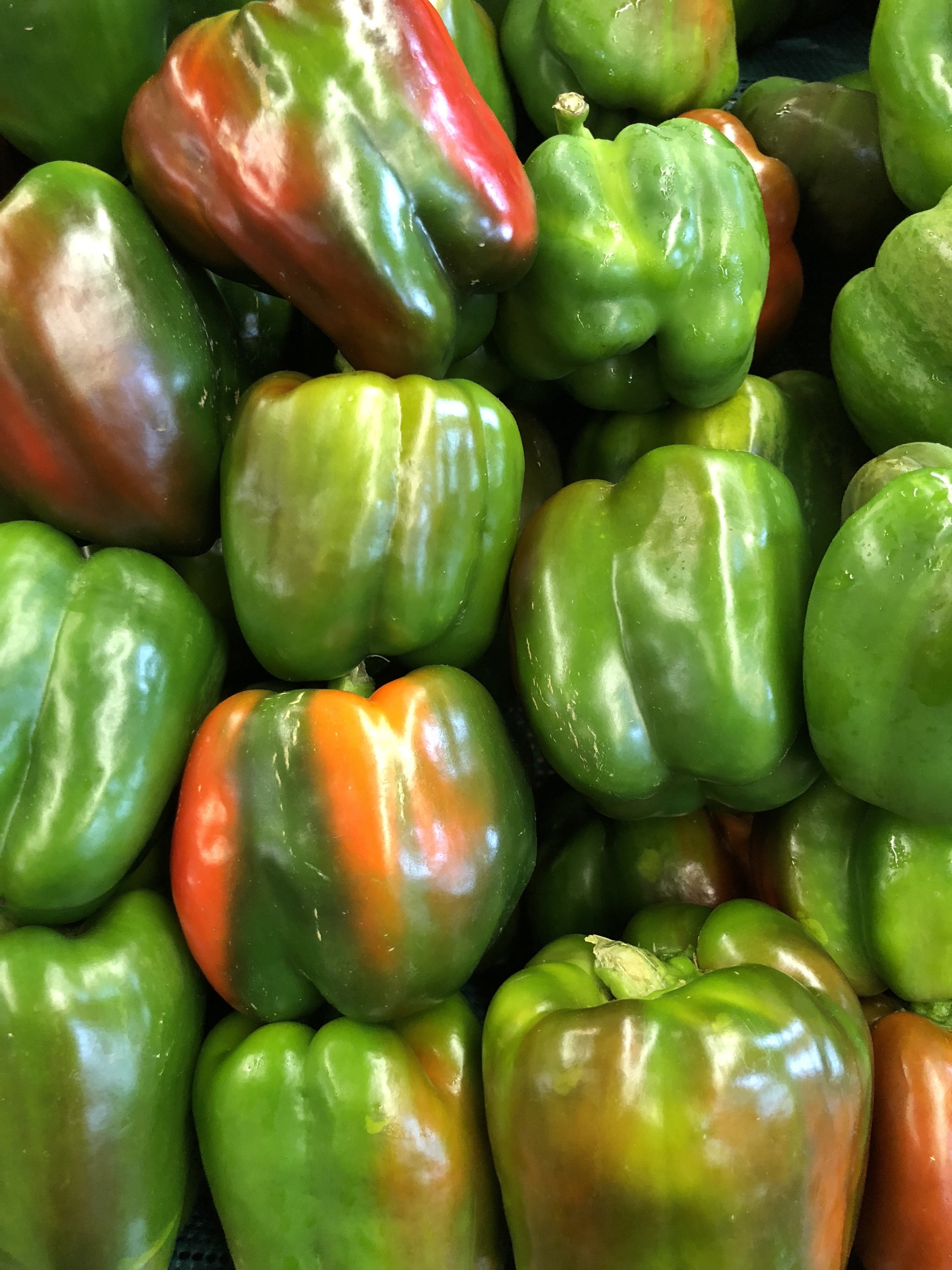 Locally-grown green peppers
