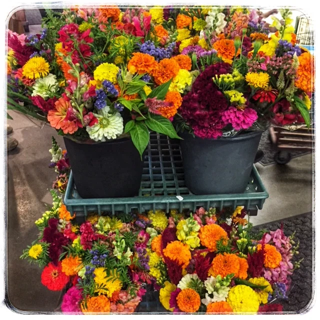 Locally grown Mixed Flower bouquets 