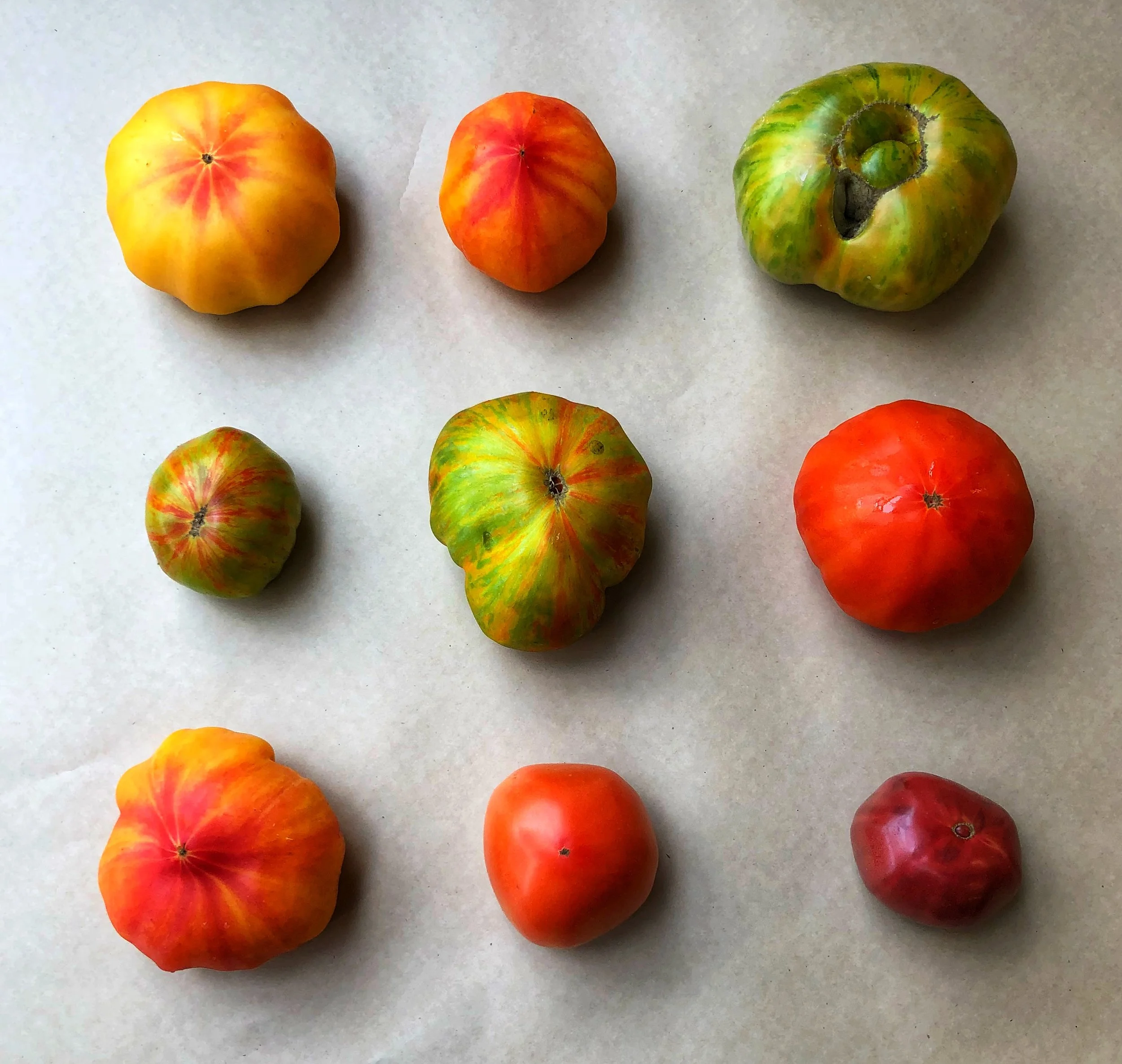 Heirloom tomatoes&nbsp;