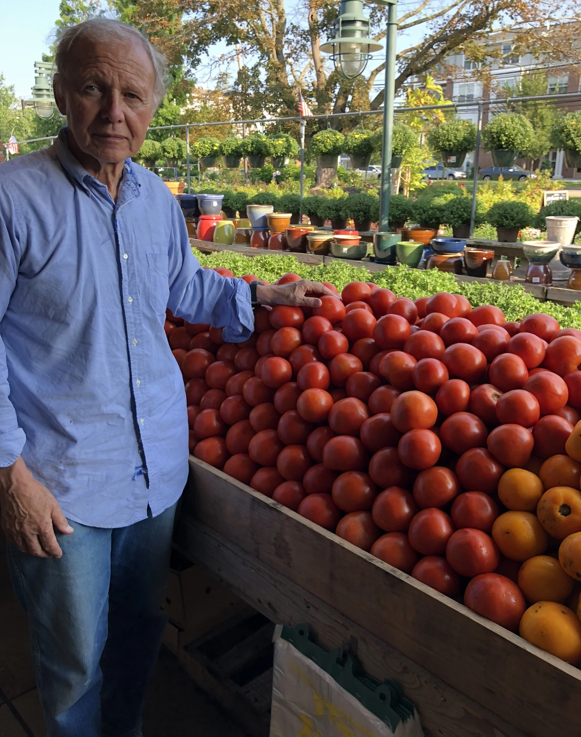 Tony Russo and the local tomatoes (that should be the name of a rock band!)