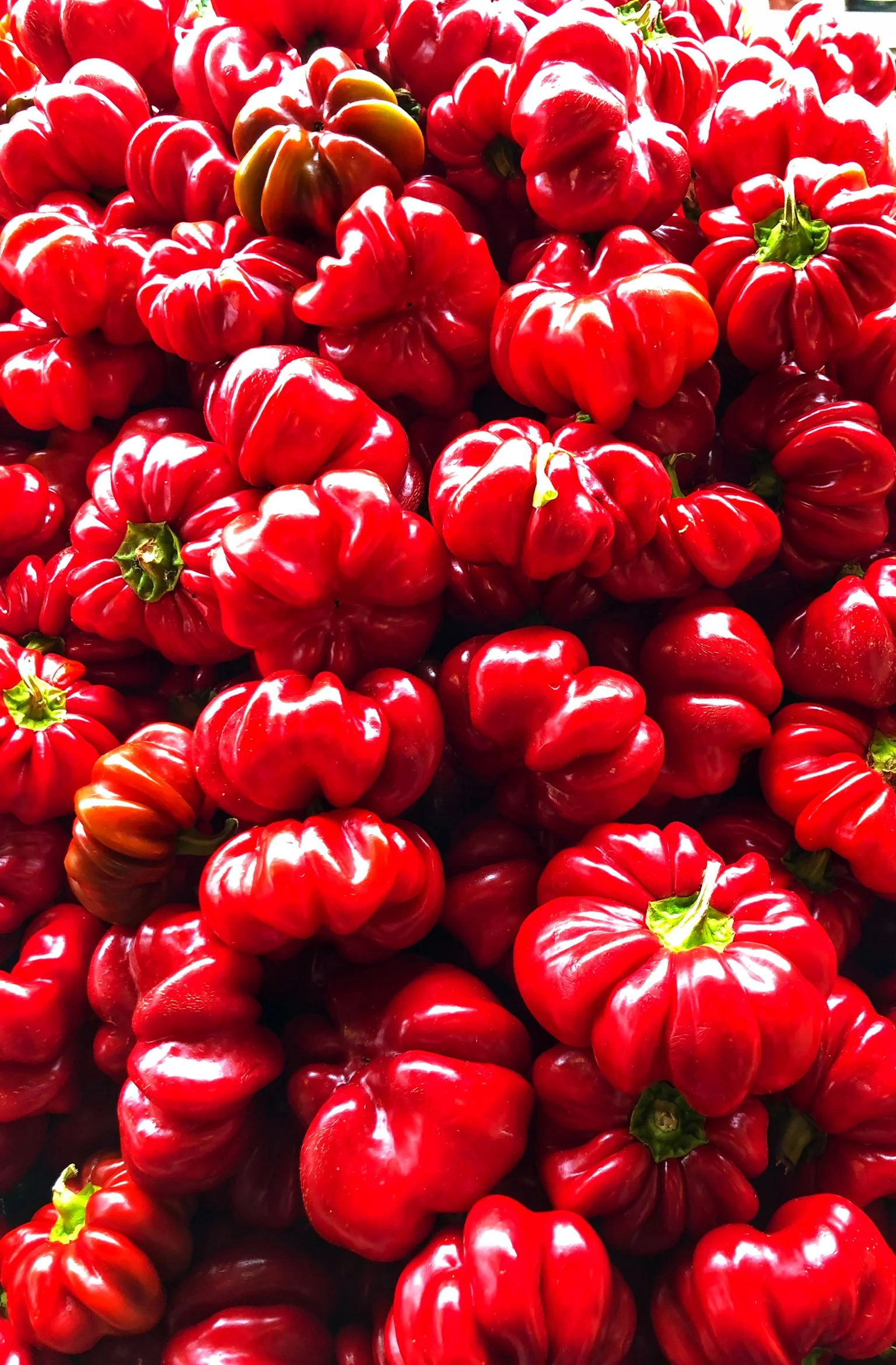 Locally grown Hot Squash Peppers