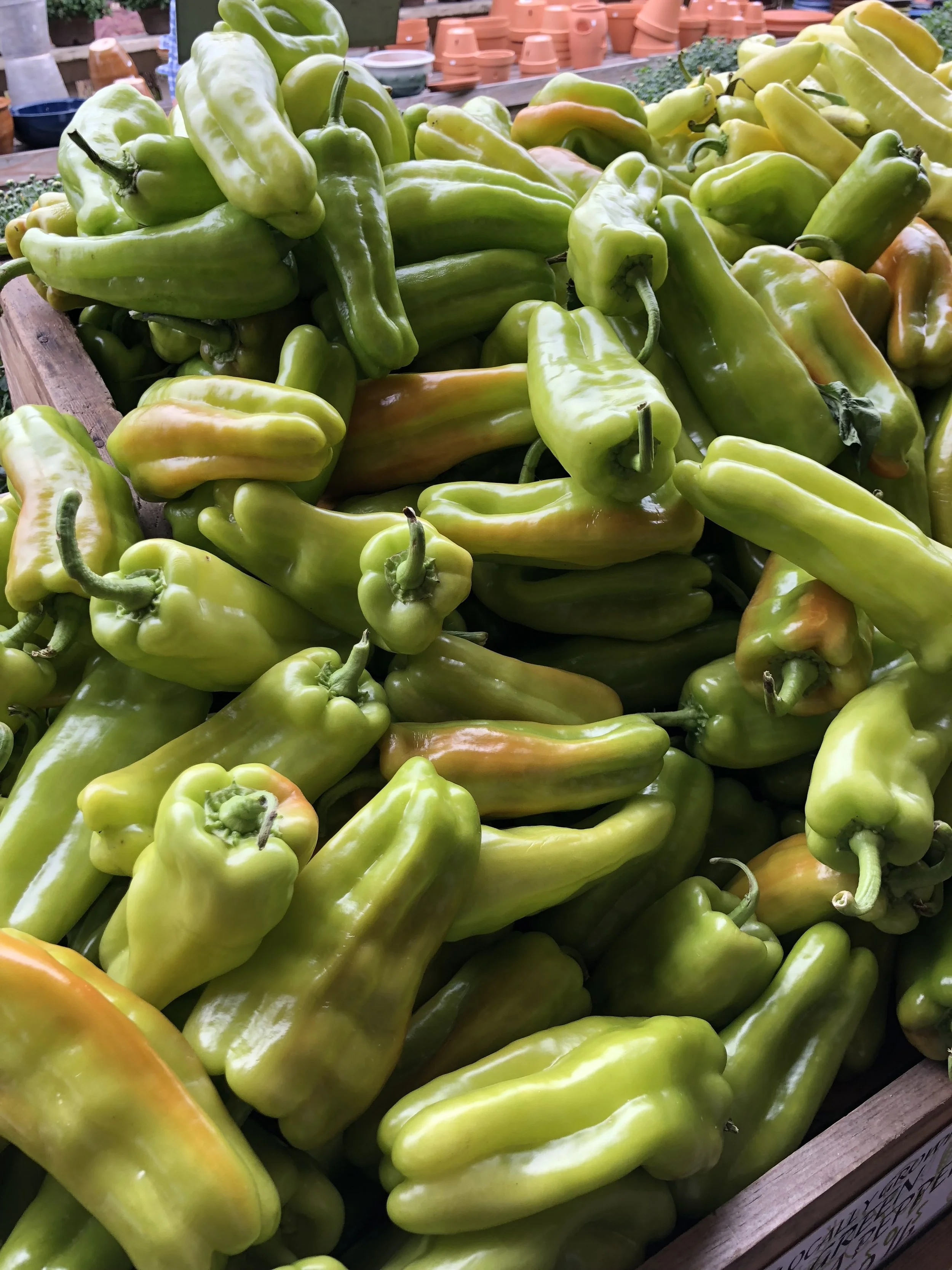 Locally grown peppers at Russo’s