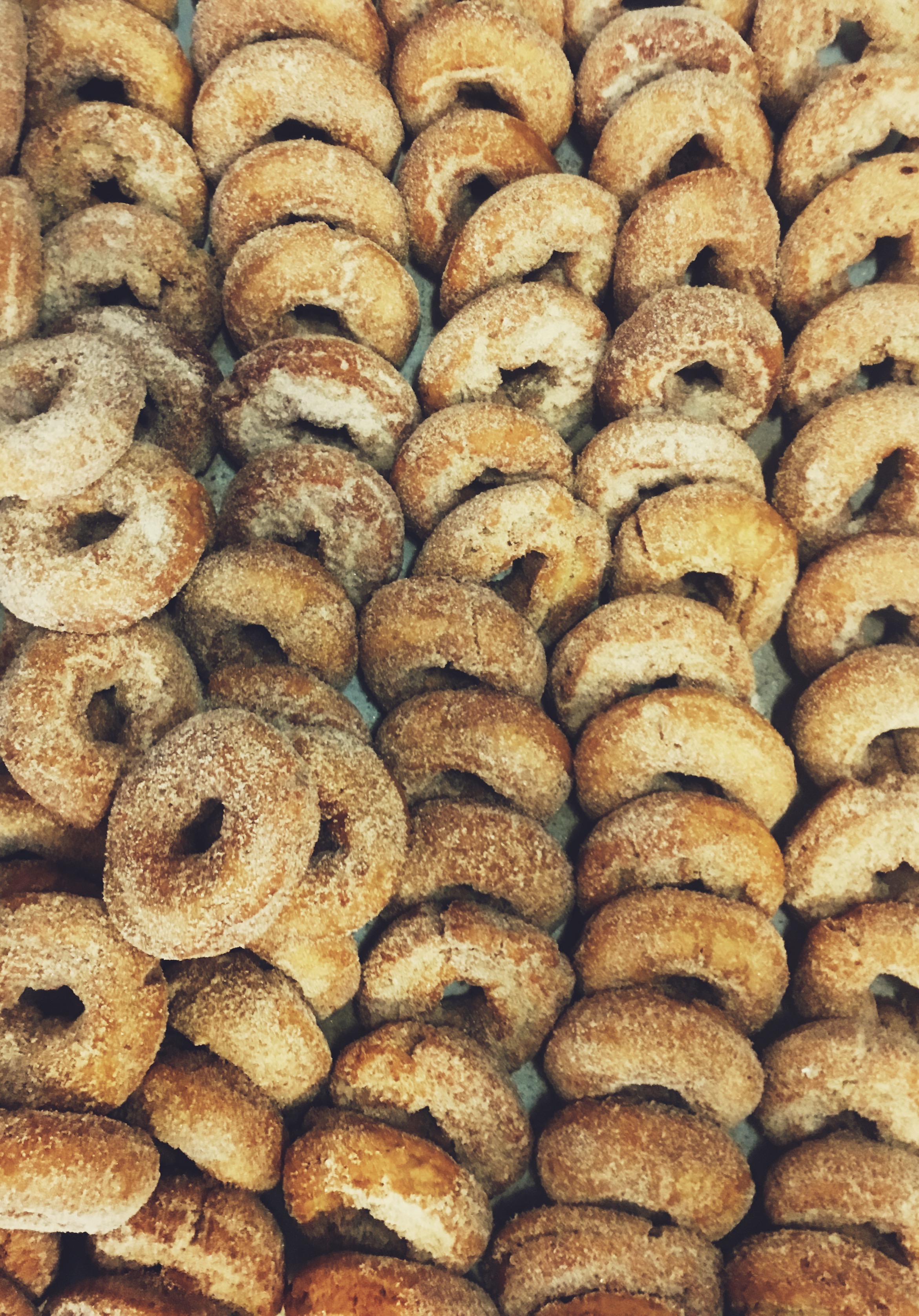 Apple cider donuts baked fresh daily at Russo’s.