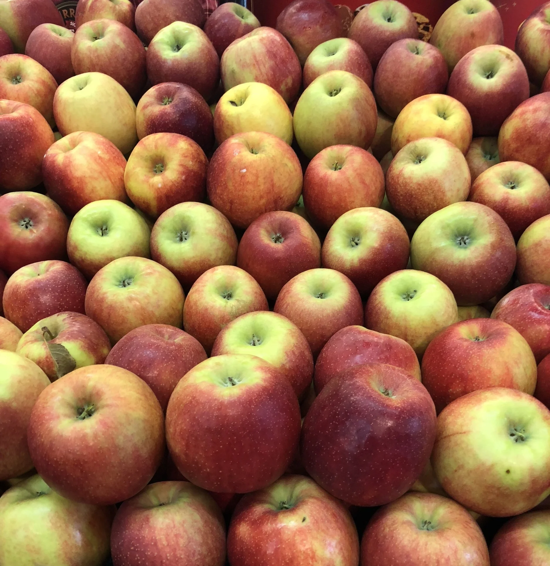 Locally grown apples at Russo’s