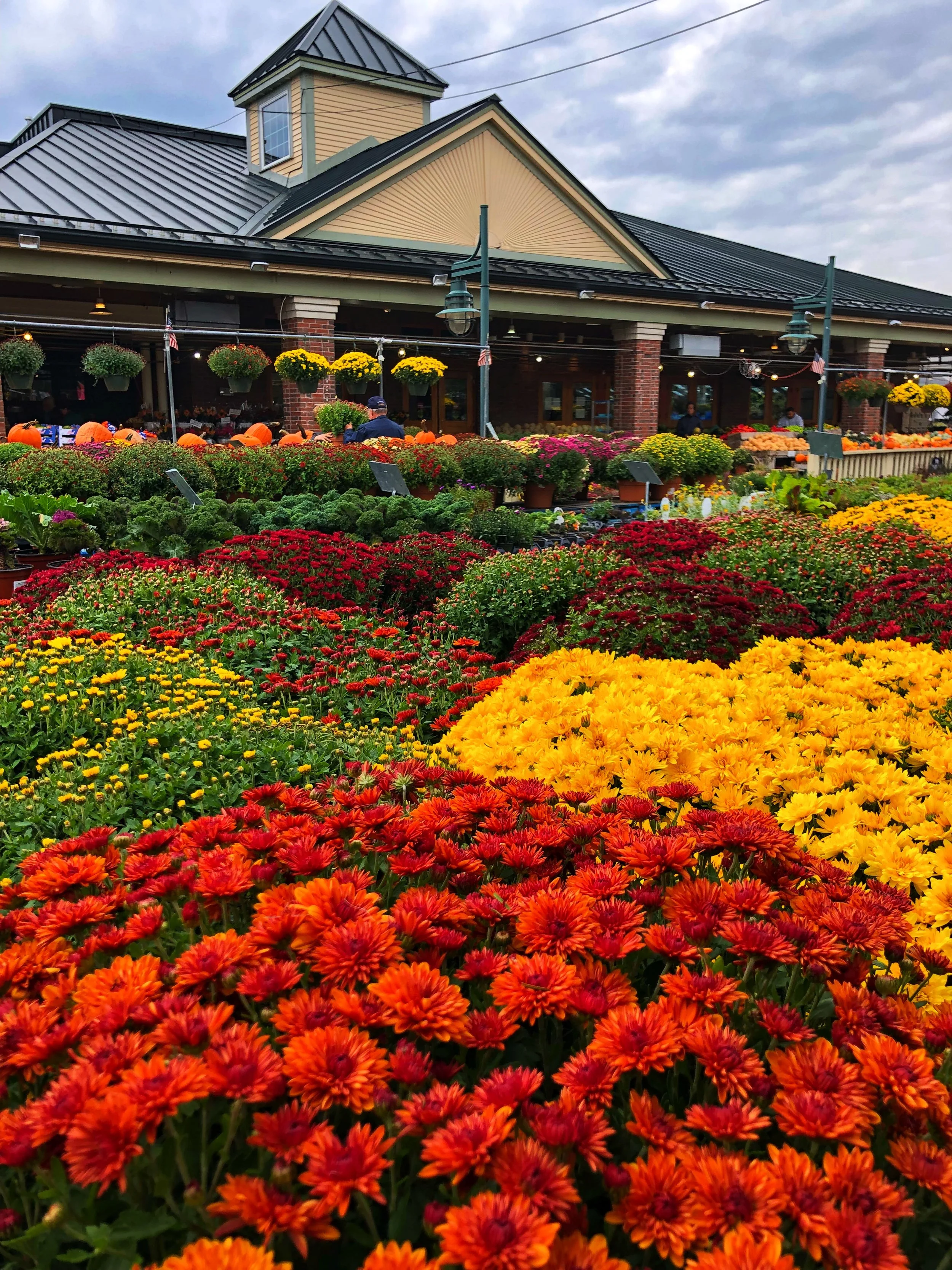 The colors of autumn at Russo’s!