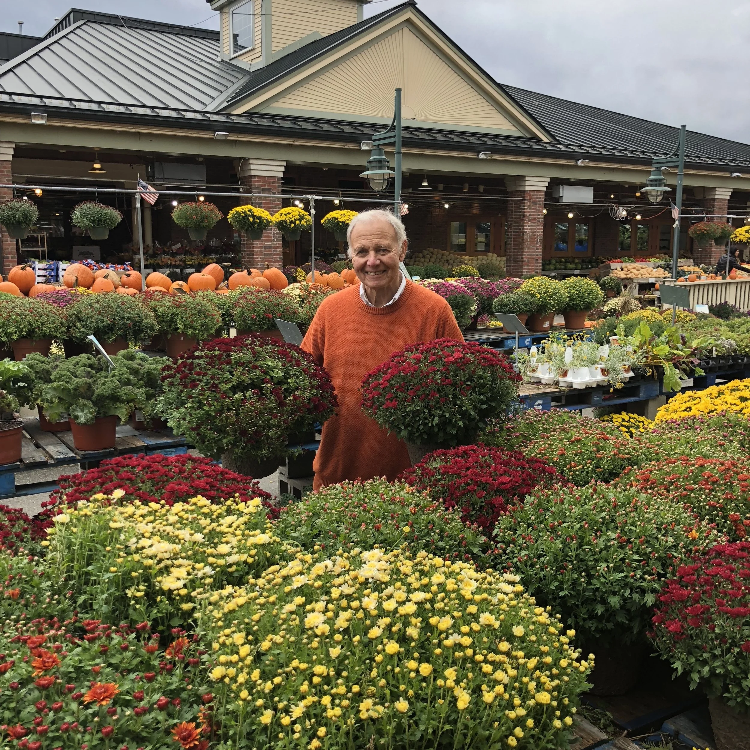 Tony Russo with one of his favorites: mums! It is not too late to buy these gorgeous plants!