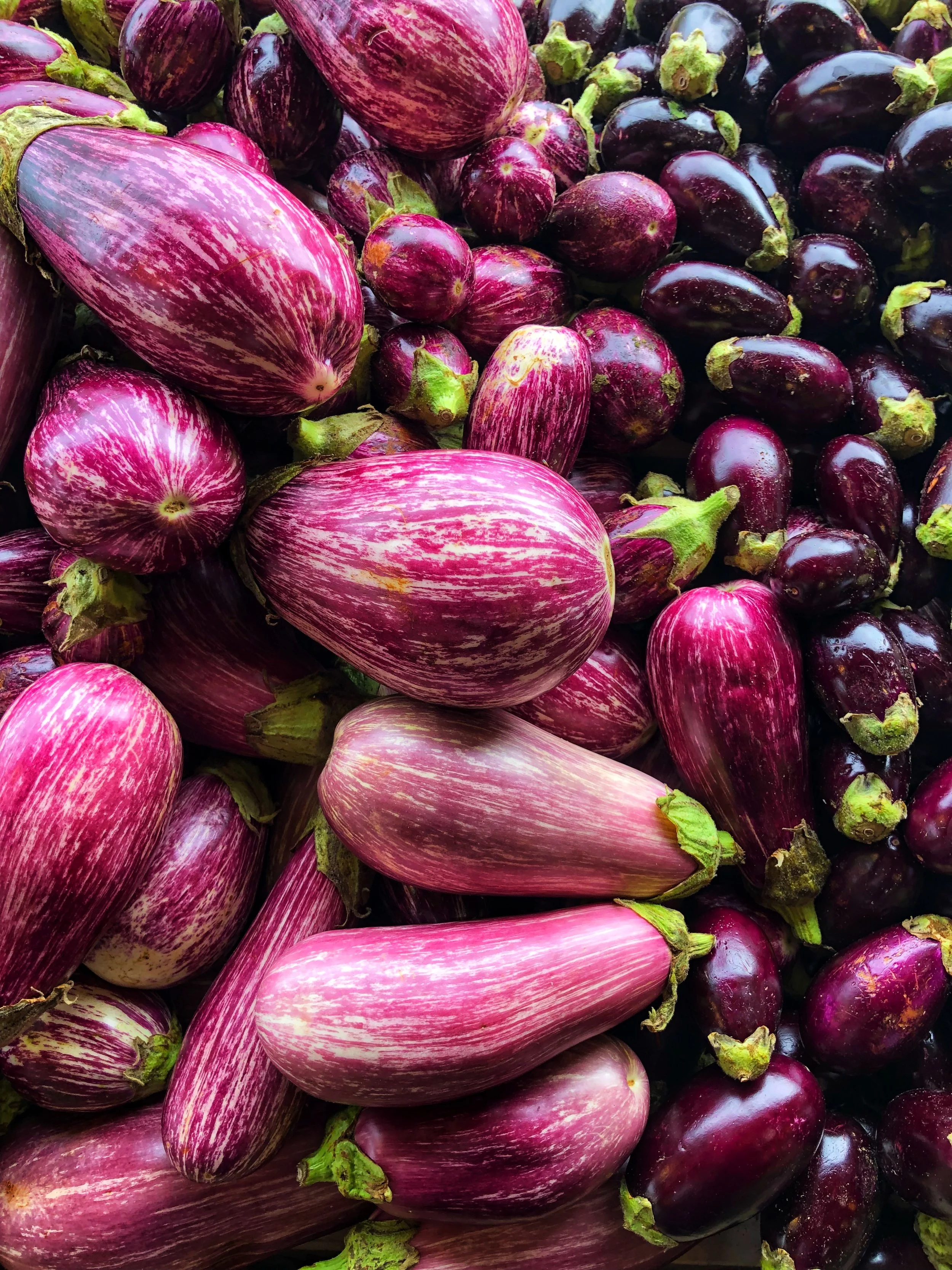 We source our fruits and vegetables from the best local growers in New England and from around the world. Our family has worked with many of our local farmers for more than half a century.