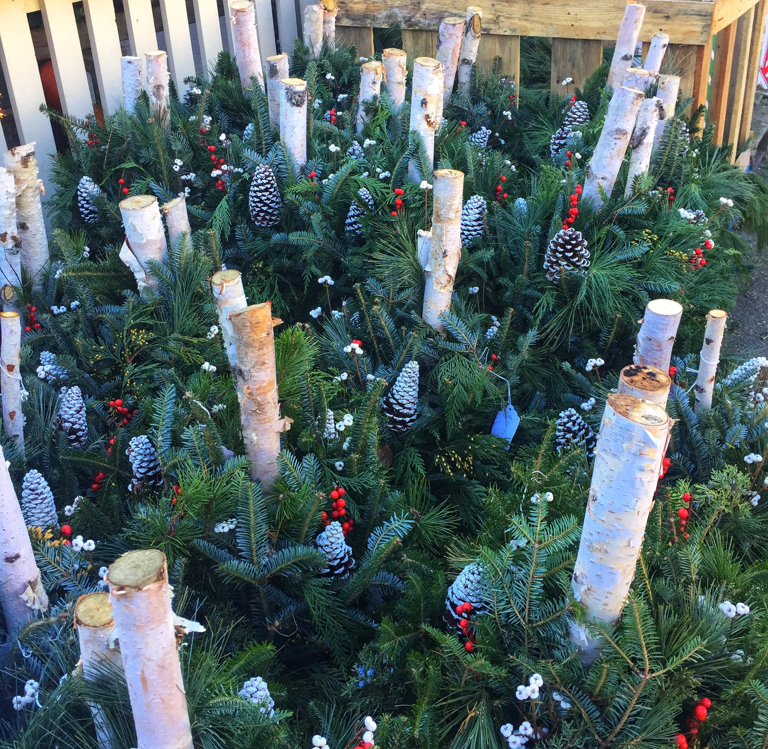 Holiday Decorations at Russo’s!