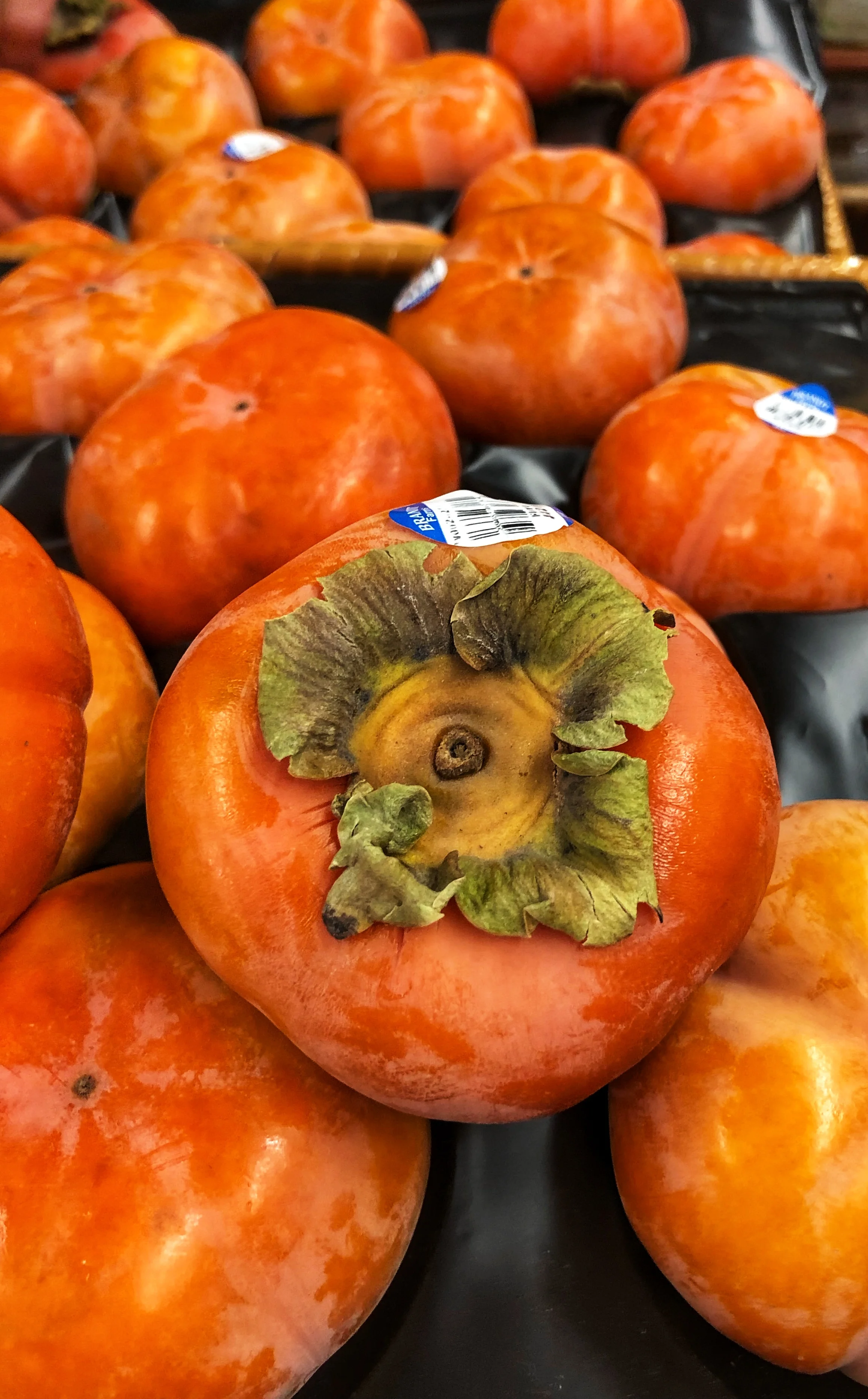 Fuyu persimmons at Russo’s.