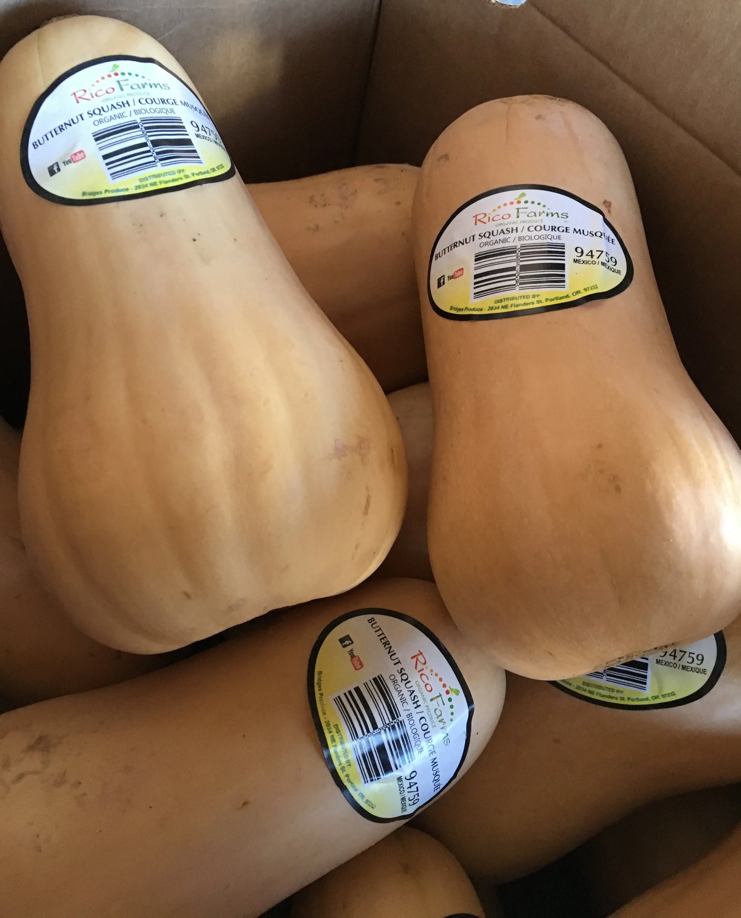Organic butternut squash on special this week at Russo’s.