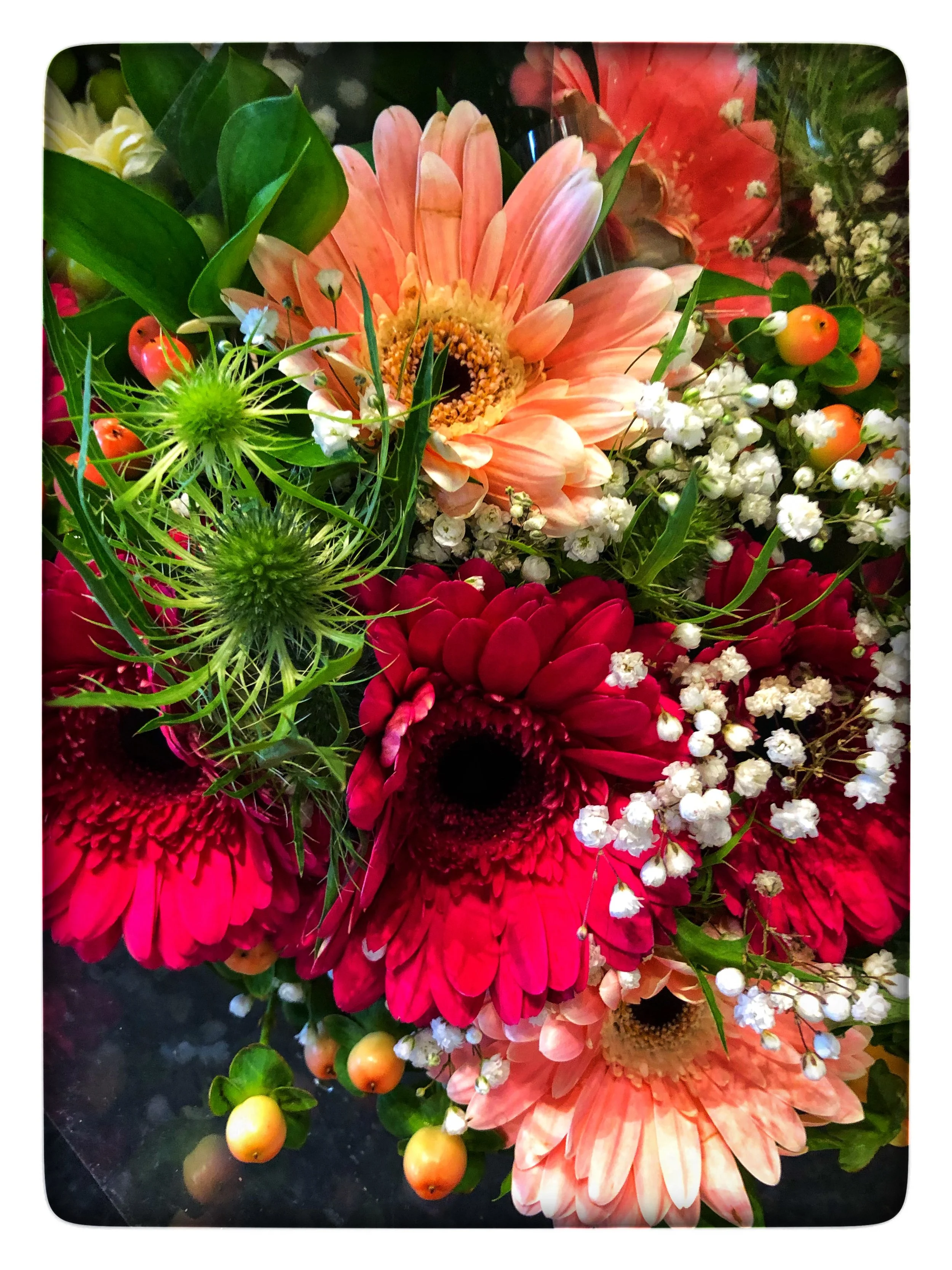 Cheerful and vibrant holiday flowers made by our florists at Russo’s.