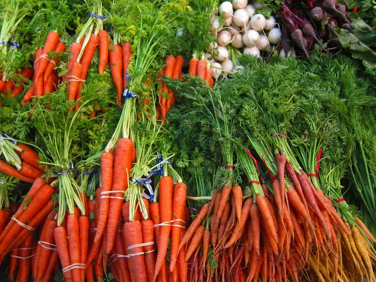 carrots russo's .jpg