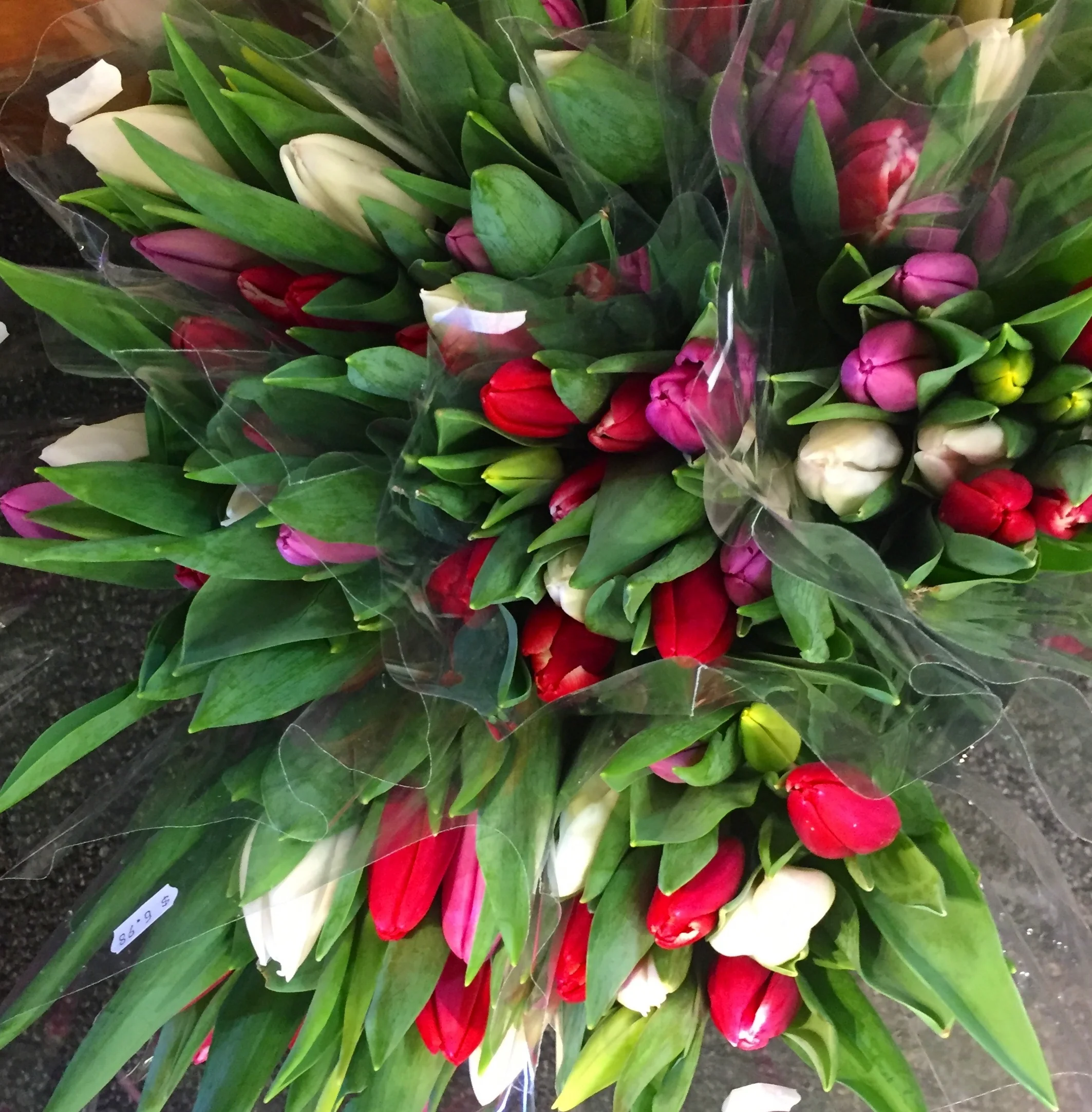 Vibrant, freshly harvested tulips available at Russo’s.