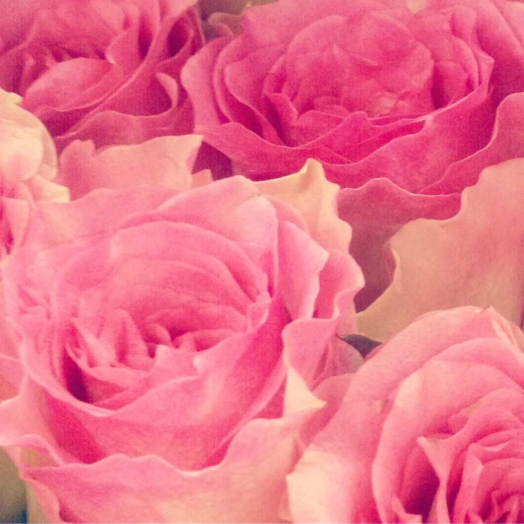 Don’t forget: Valentine’s Day is next week!