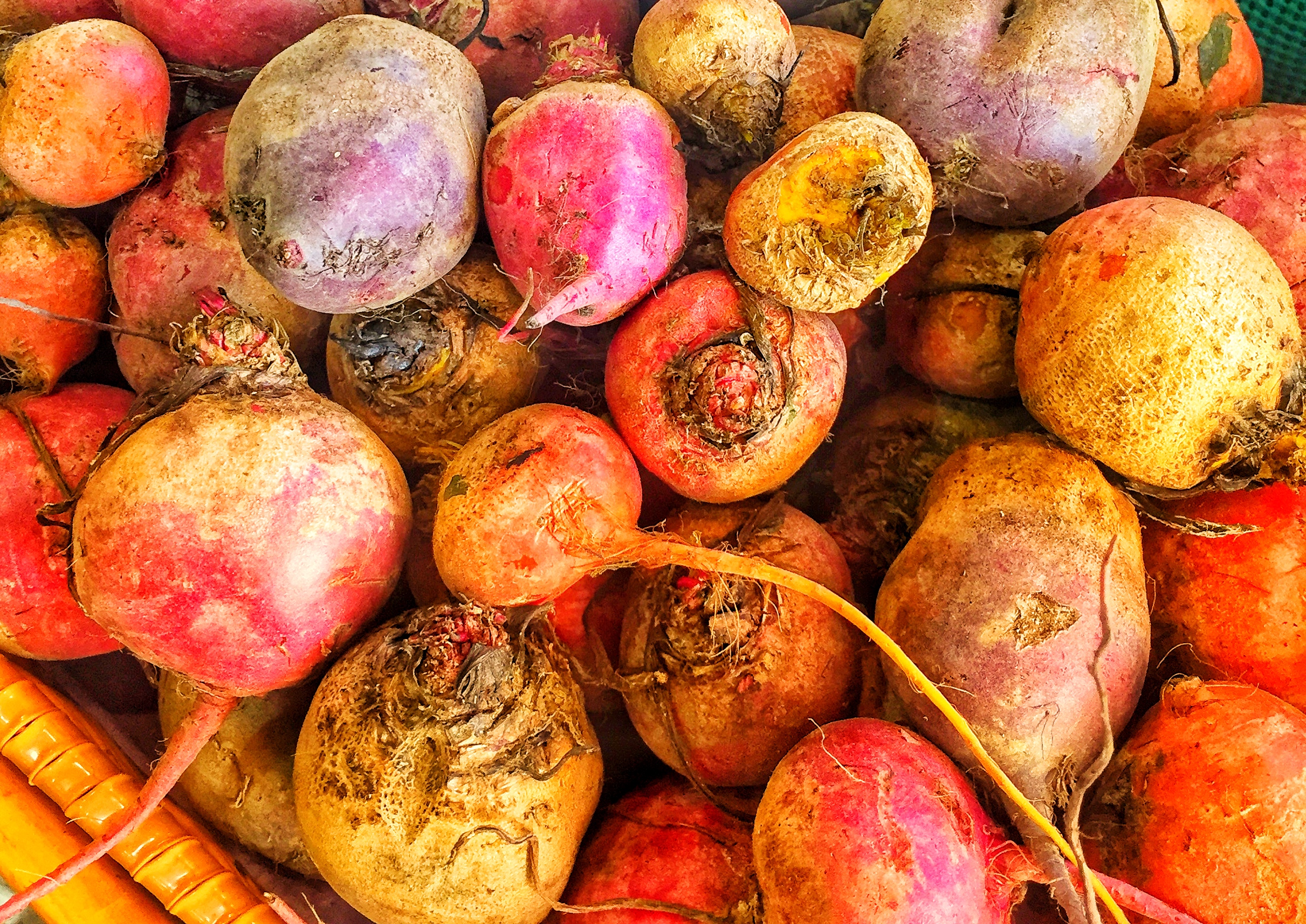 Locally grown organic beets and radishes on special!