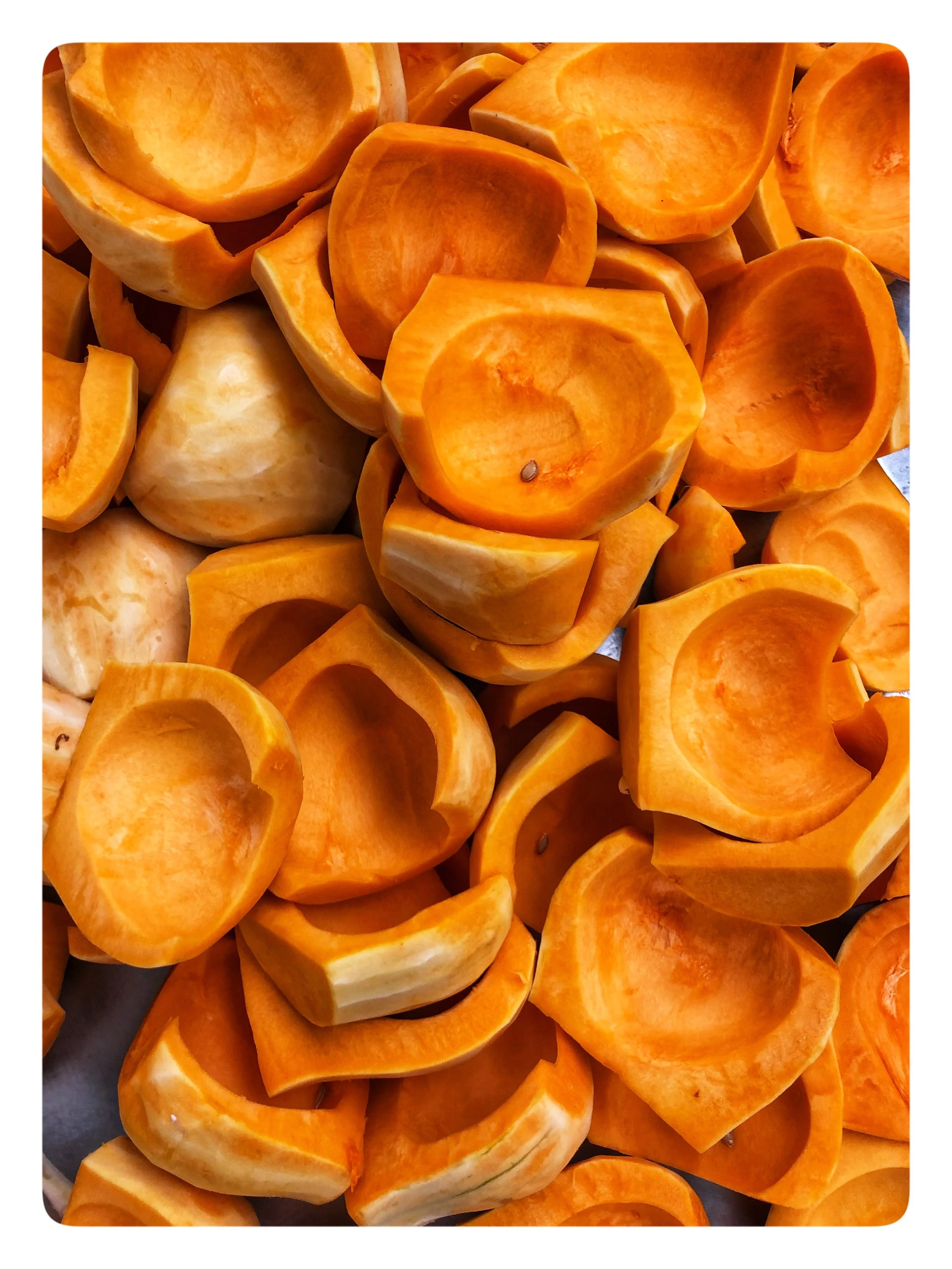 Fresh cut Butternut squash. Locally grown Butternut squash is on Special this week!