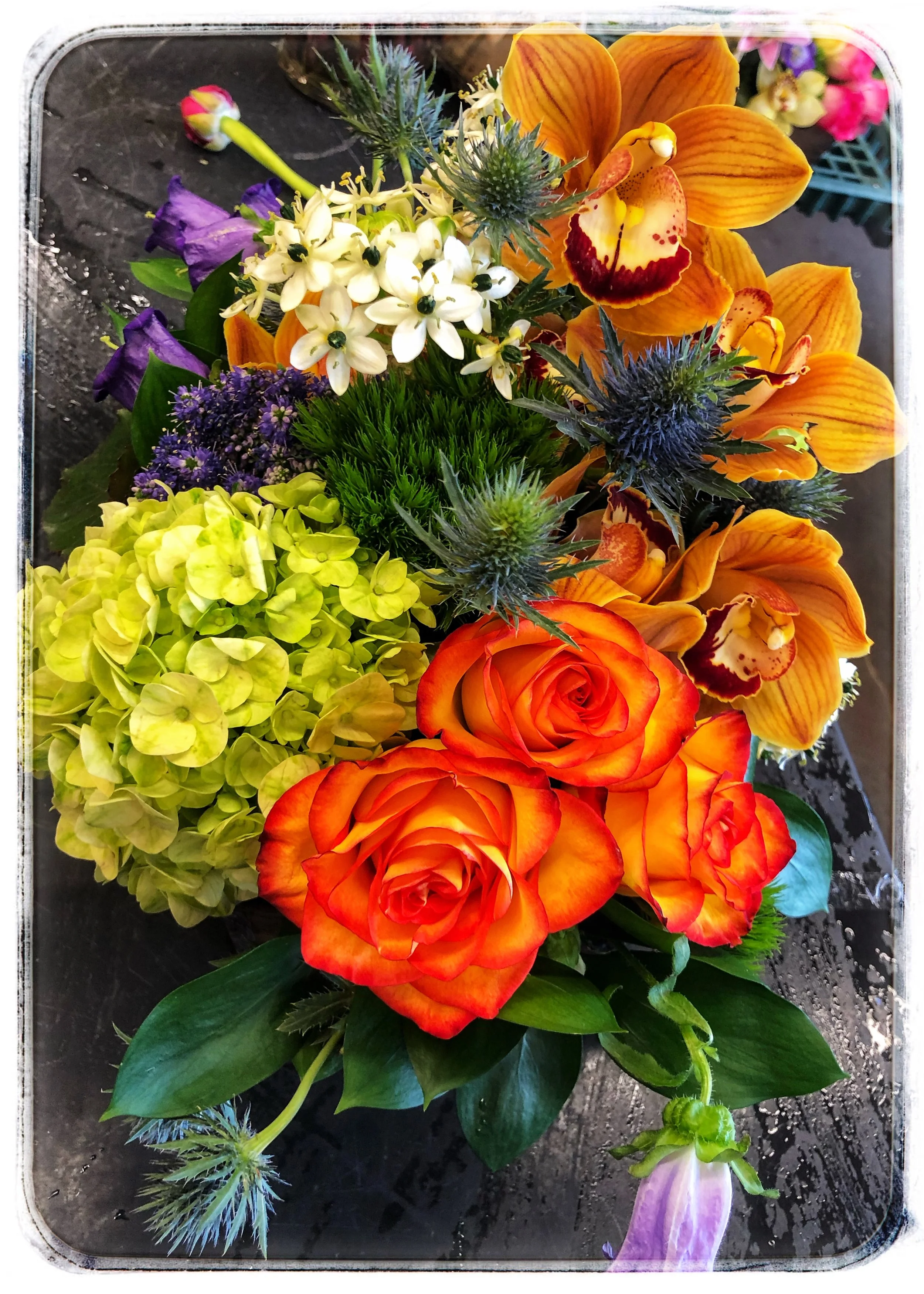 Colorful arrangements with orange orchids and  orange roses to greet Spring.