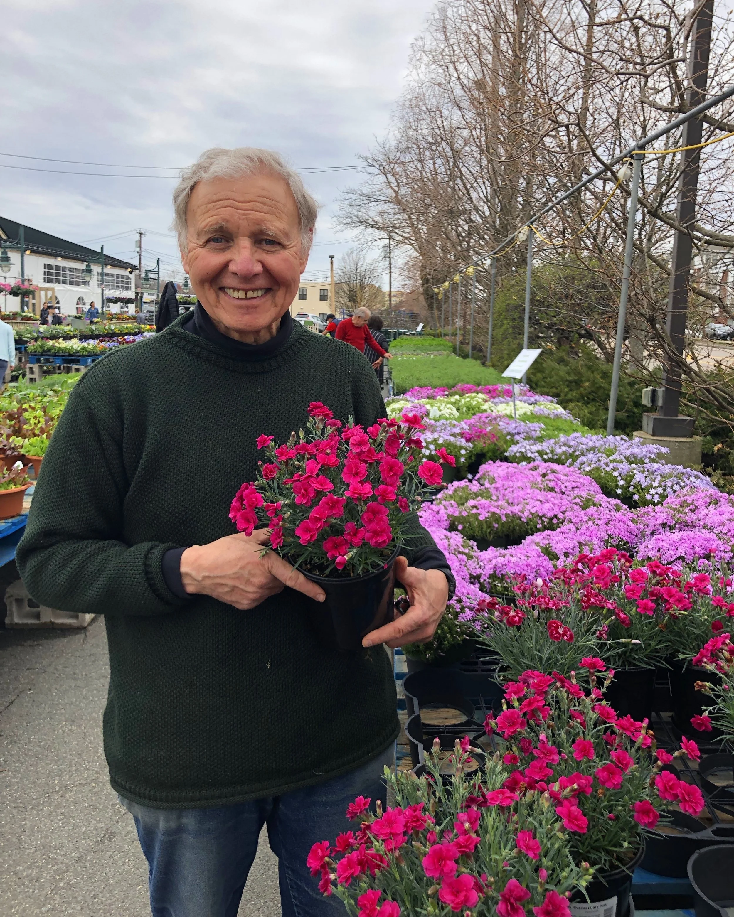 Tony Russo with the vibrant Dianthus plants. Check out this week’s Tony’s Tips on plants and herbs!