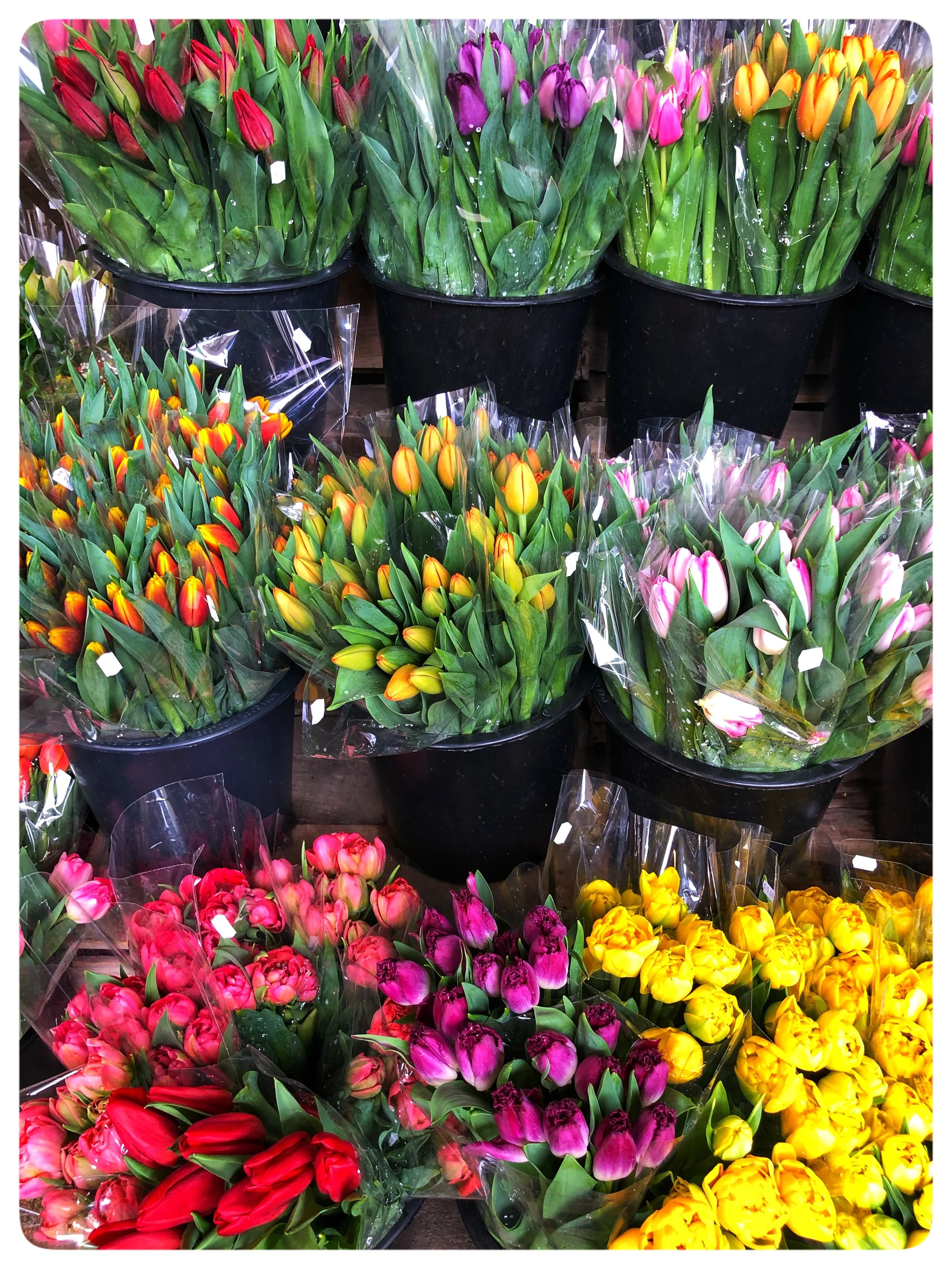 Specials April 16th-21st