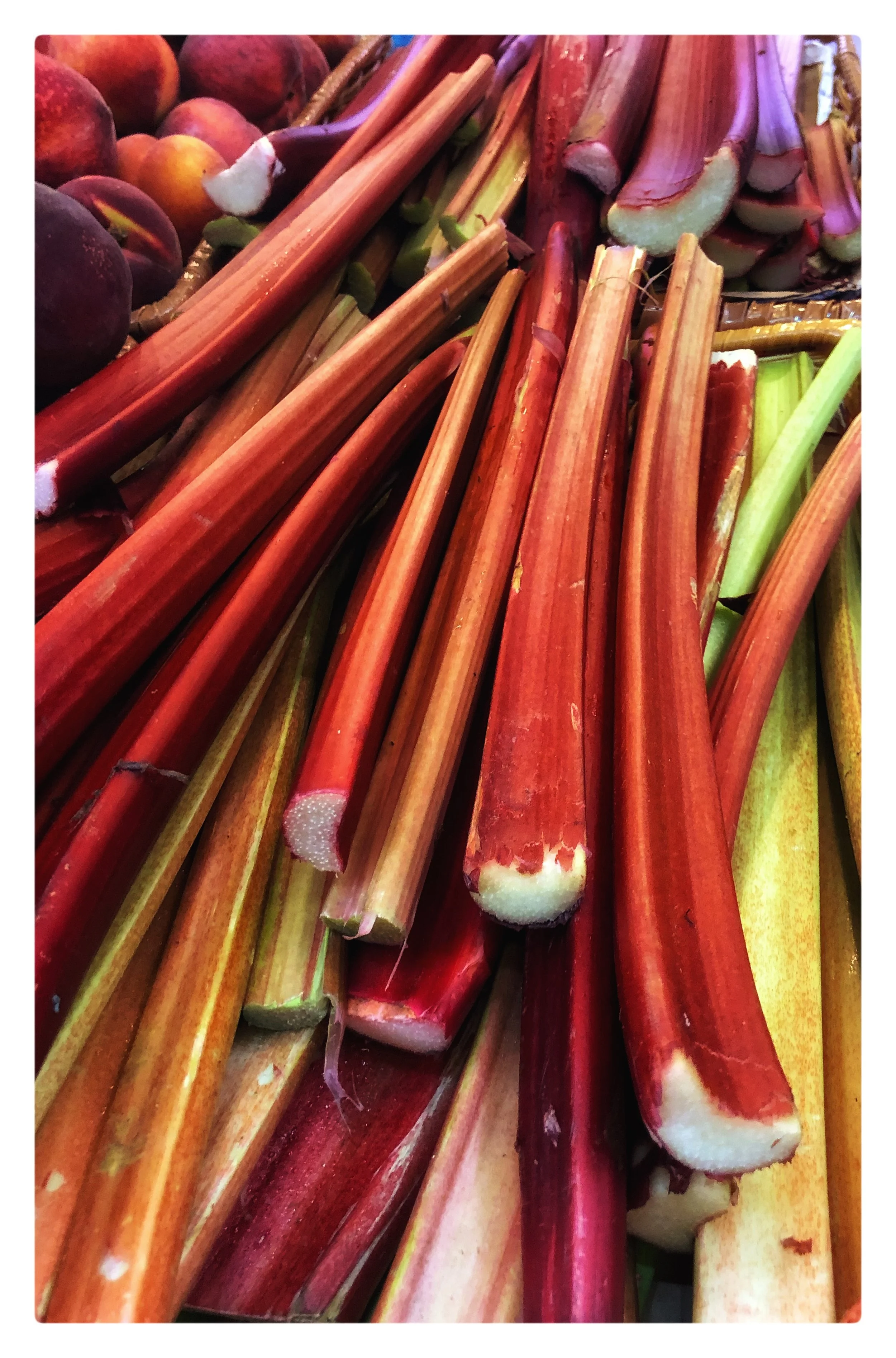 Now is the season for locally-grown rhubarb!