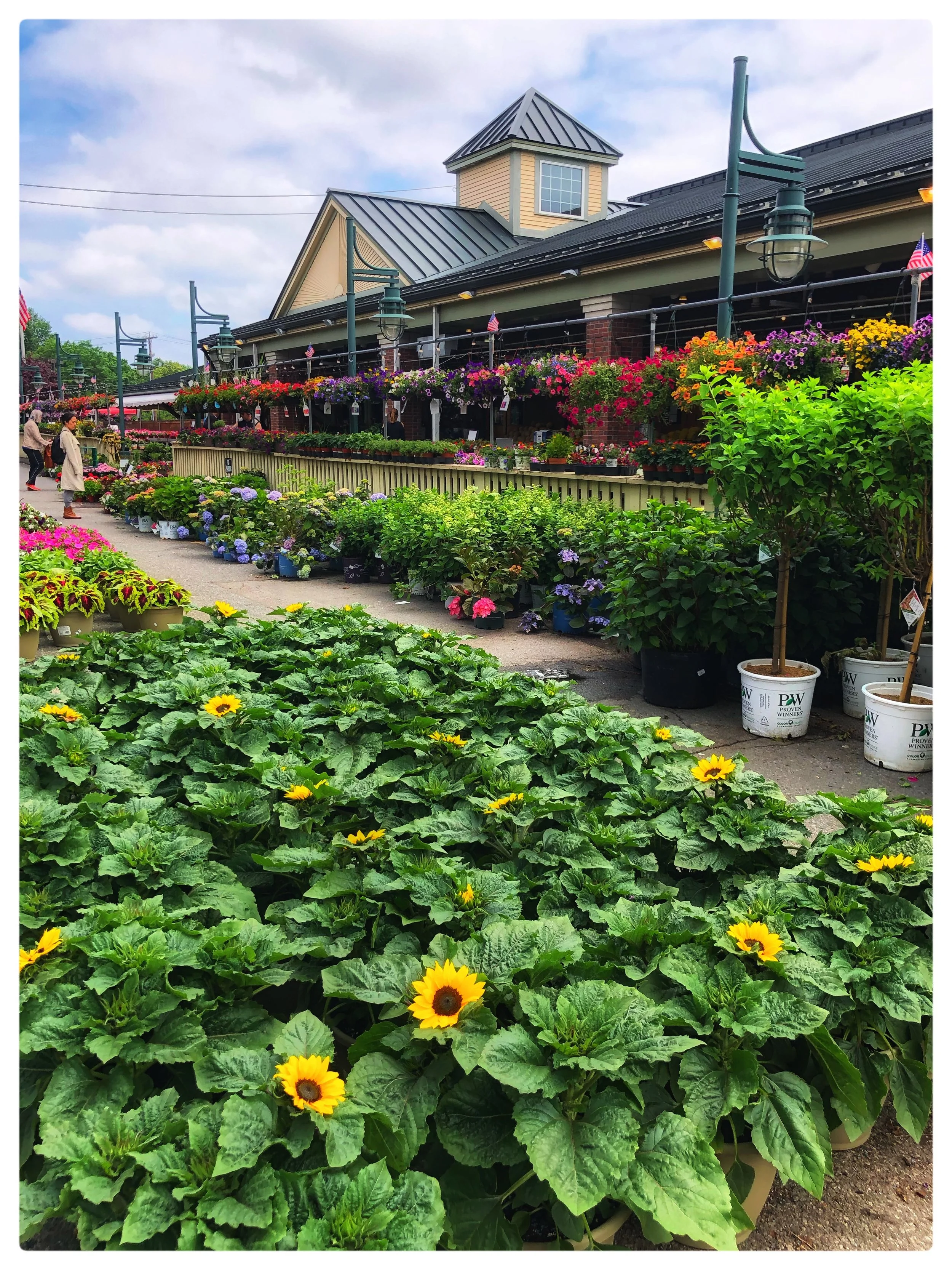 Specials June 28-July 2