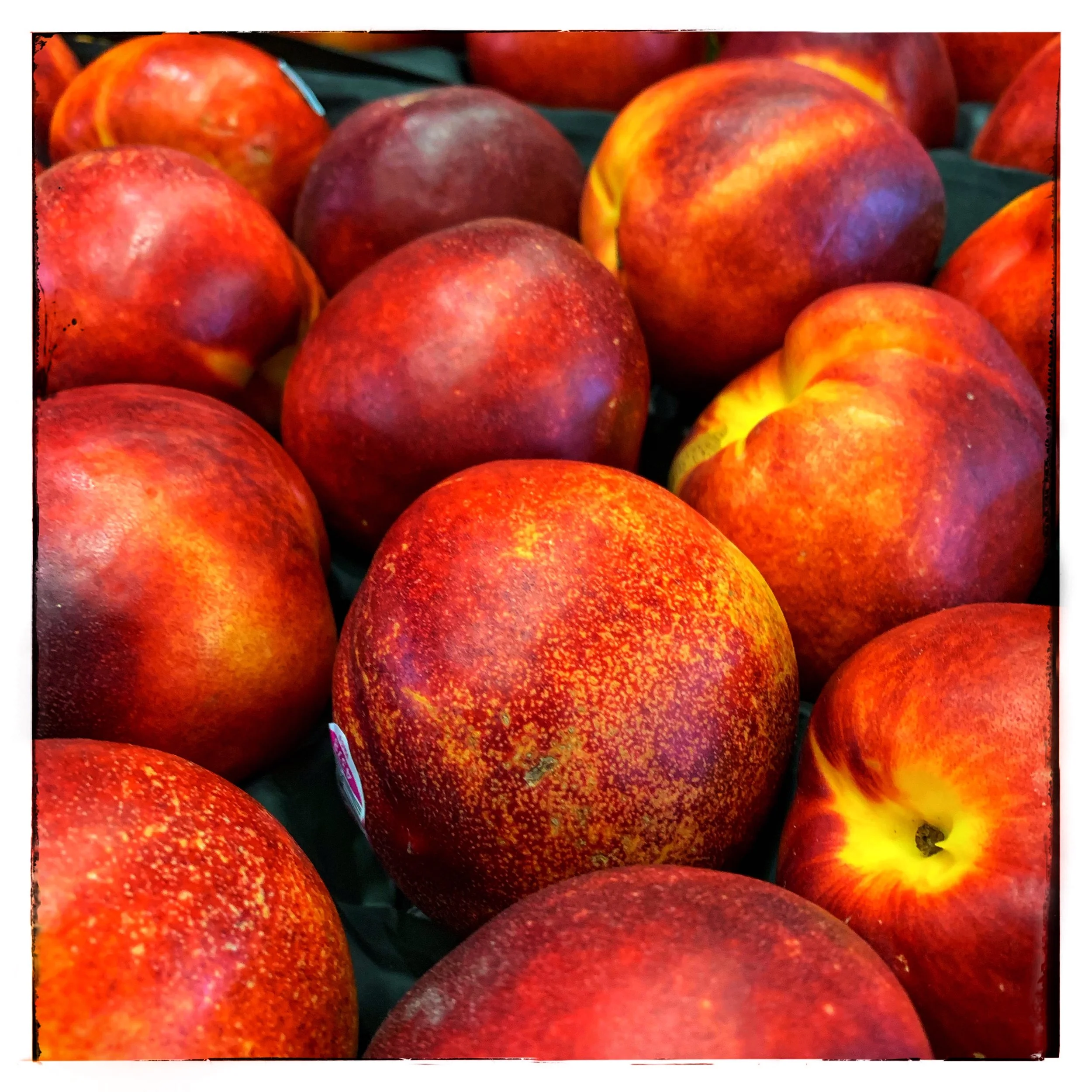 Tree-ripened nectarines and peaches on special this week at Russo’s!