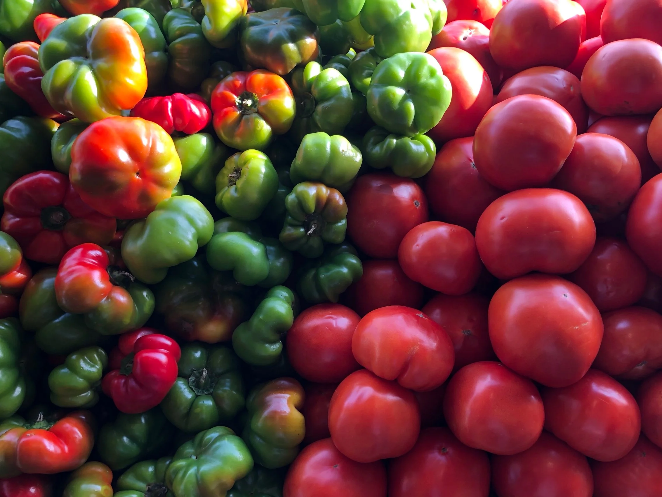 Locally grown field tomatoes and St. Nick peppers at Russo’s.