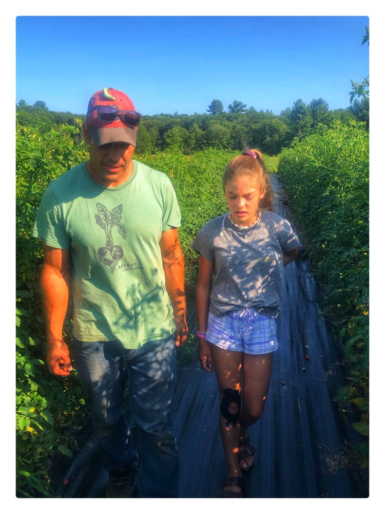 Andrew Rodgers and his daughter Phoebe, who works at Clark Farm Market, walk the fields of Clark Farm in Carlisle.