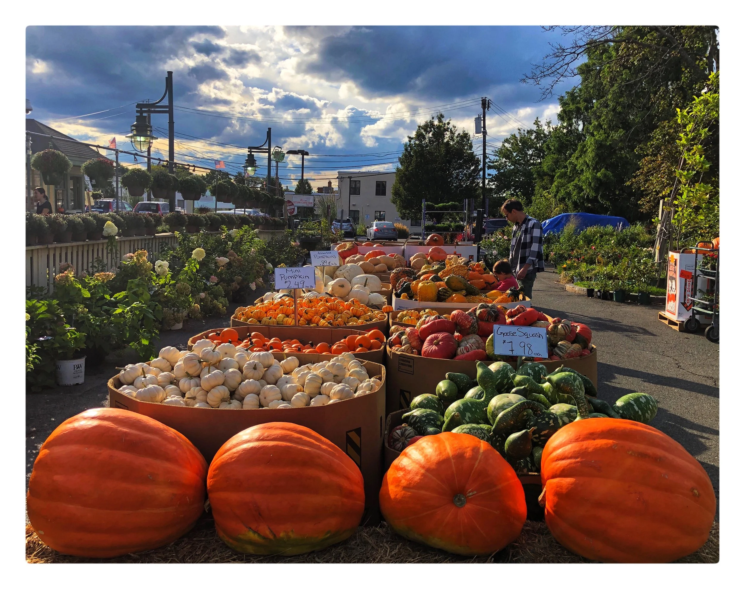 Pumpkins have arrived at our store! Choose your favorite colors and sizes!
