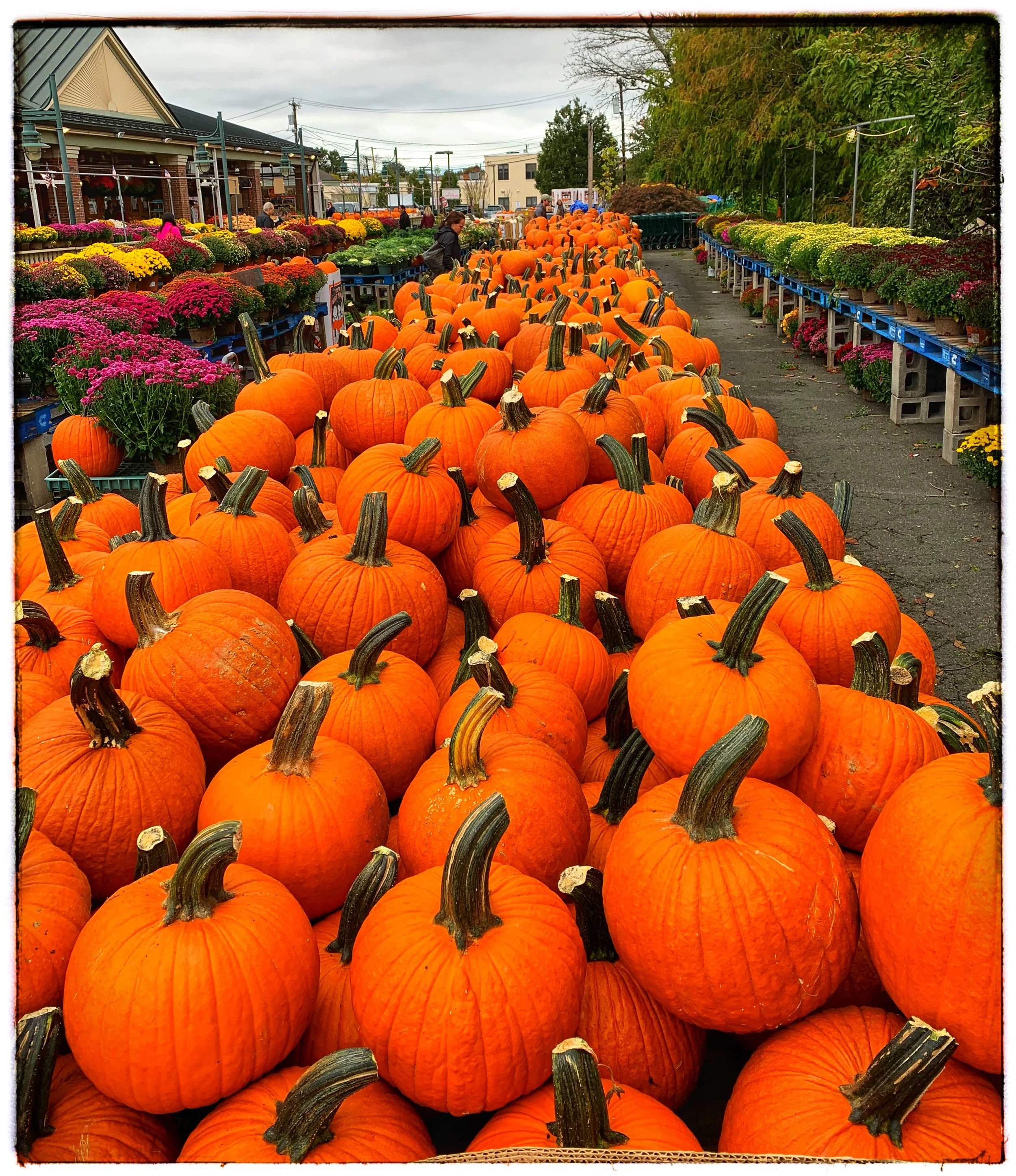 Specials October 15th-20th