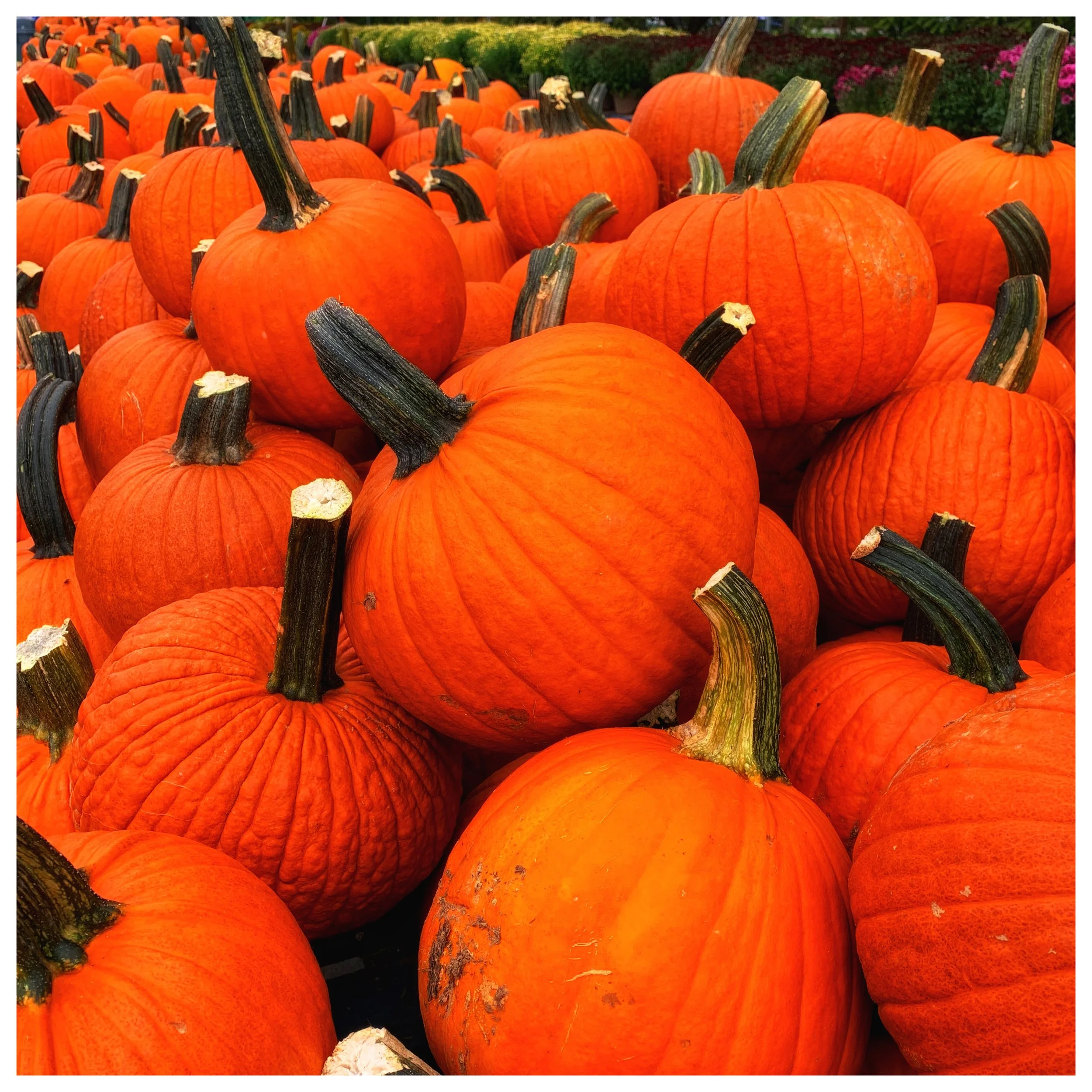 Specials October 22nd-27th