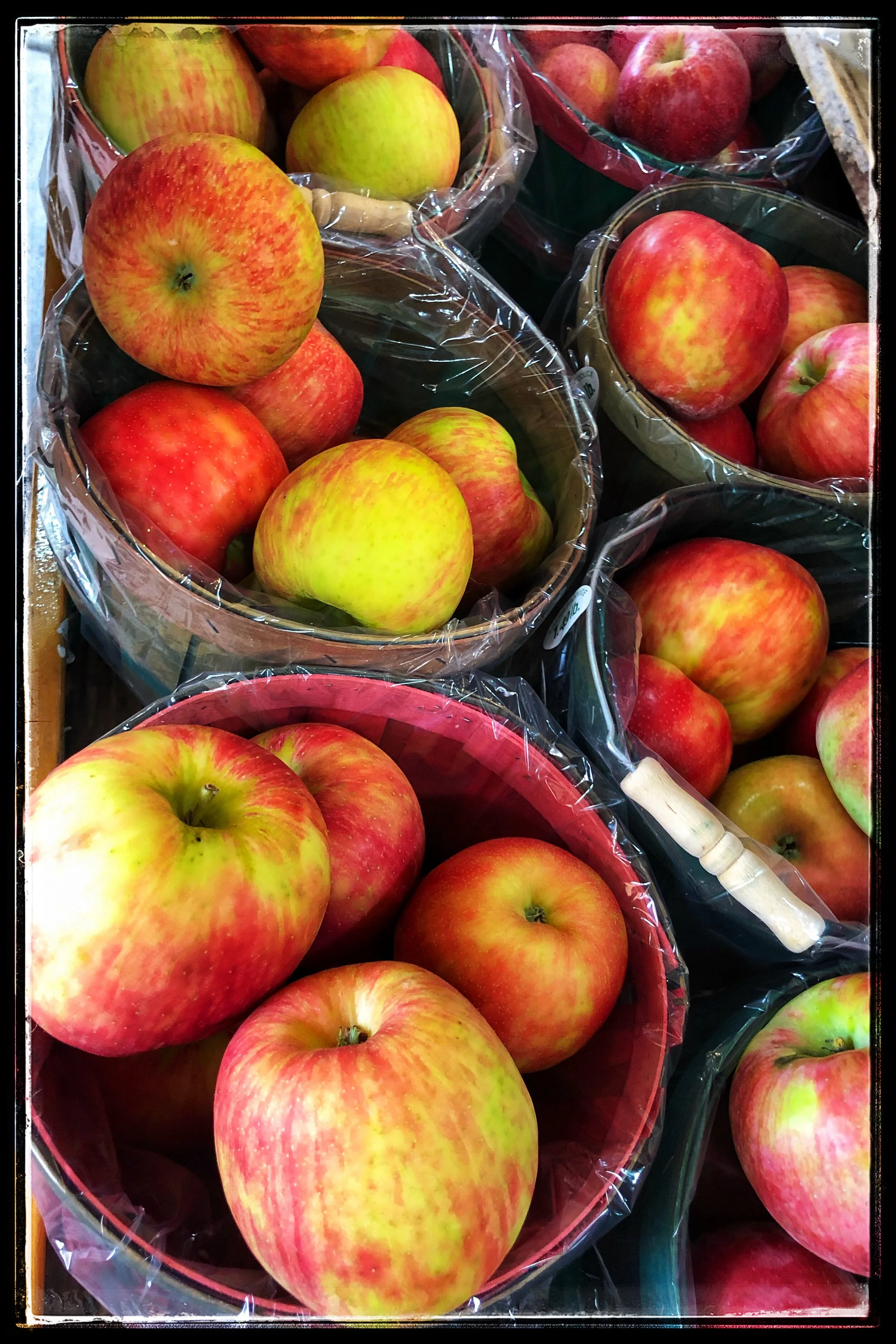 Enjoy these crisp local apples during this perfect season for apple lovers!