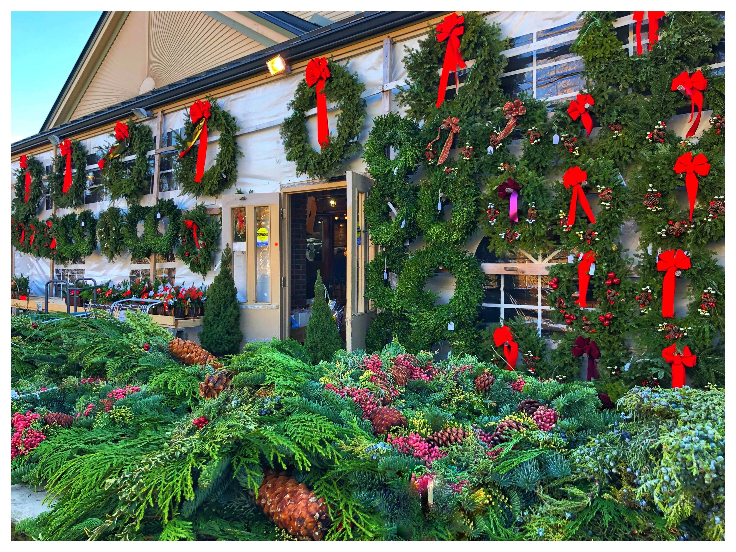 Greens and wreaths at our store!