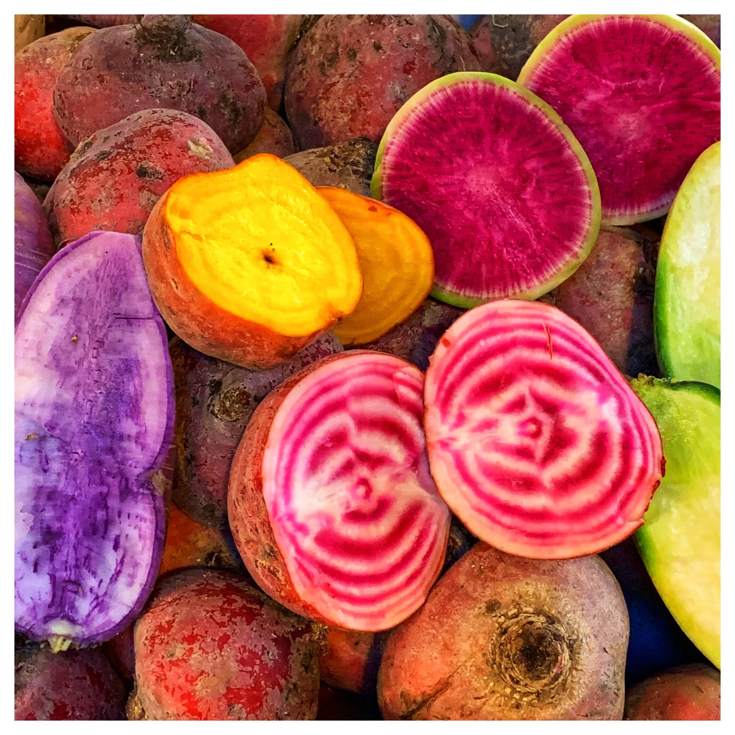 Delicious, colorful radishes, tulips and beets from our organic, local growers!